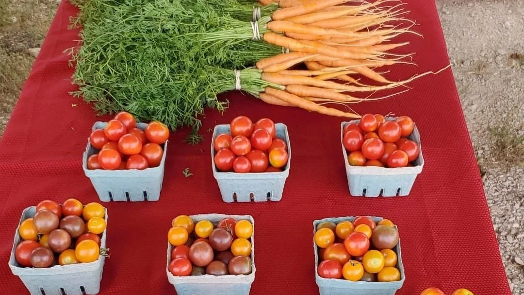 What Farmers Markets Are Open Today? Texas Alamo Area — TexasRealFood