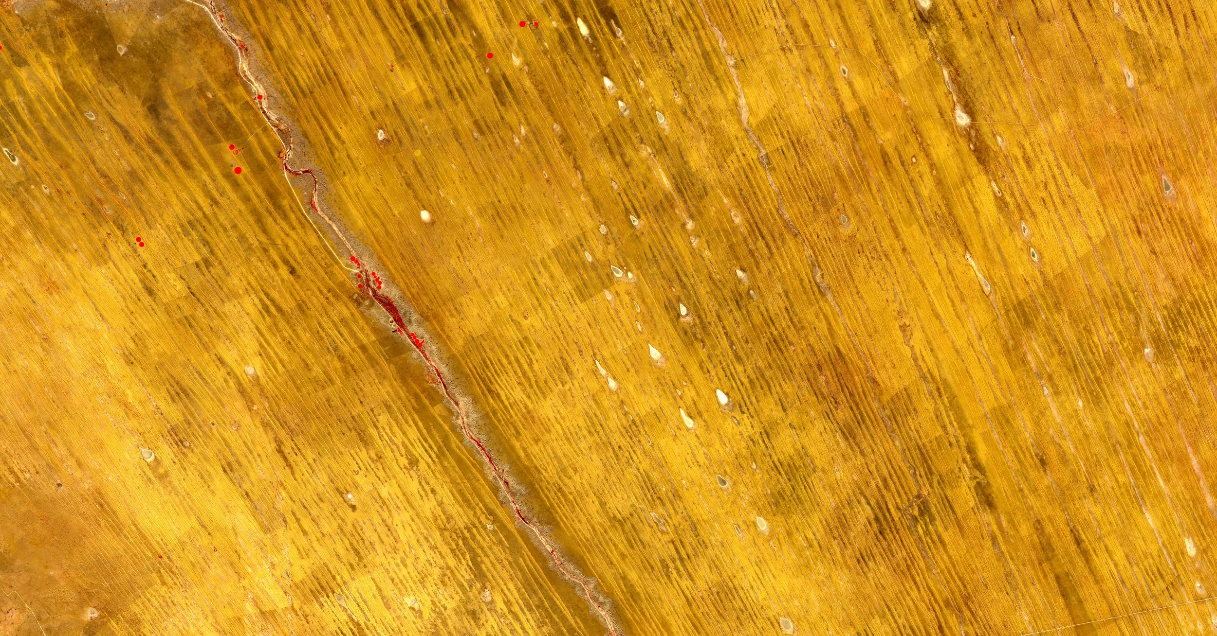 Red Dots in the Kalahari Desert