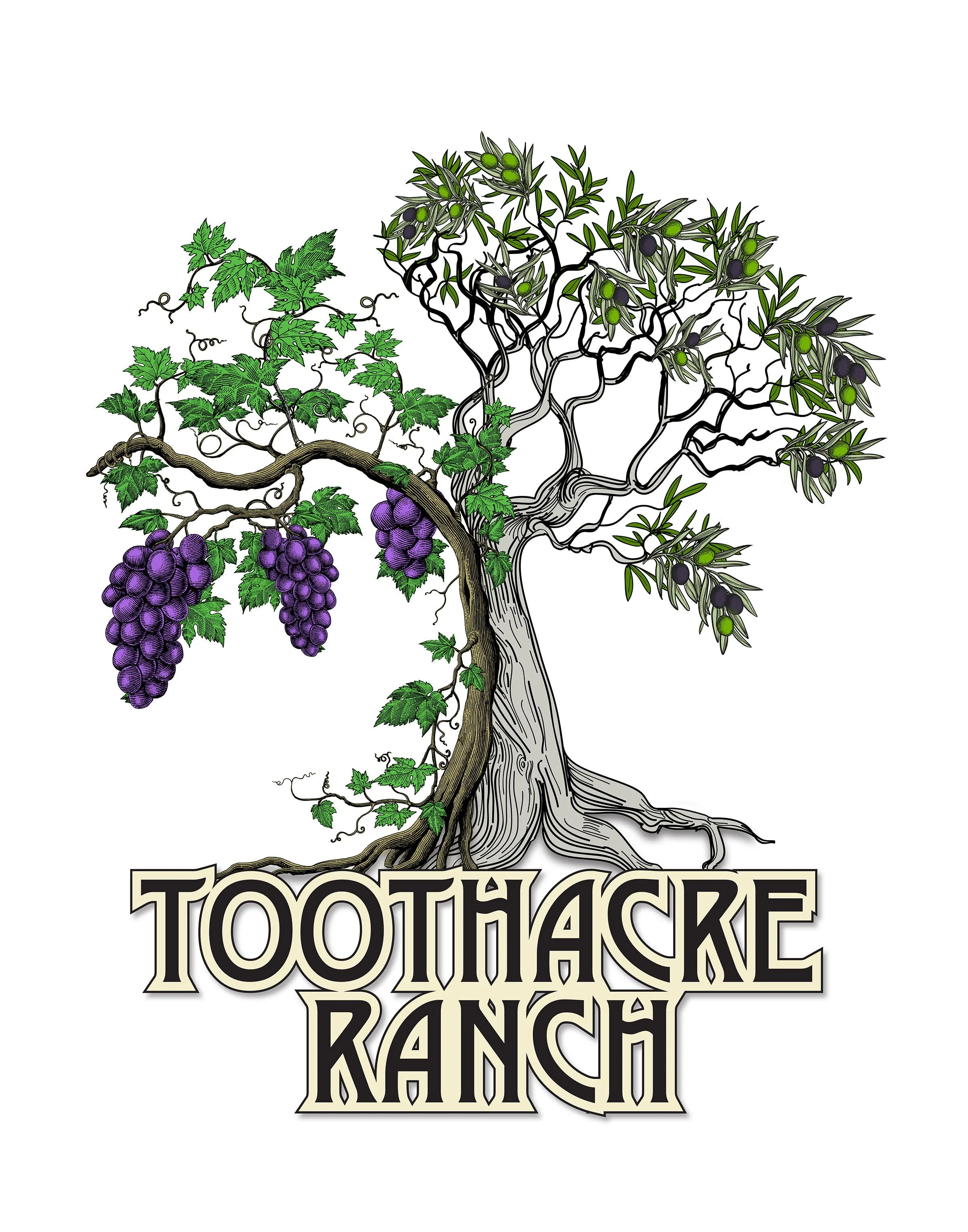 Tooth Acres Ranch ToothAcre Ranch