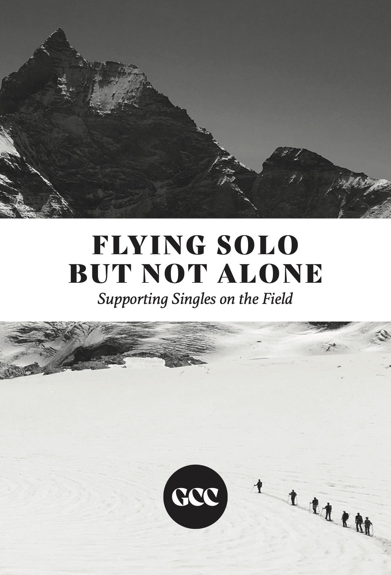 Flying Solo but not Alone.jpg