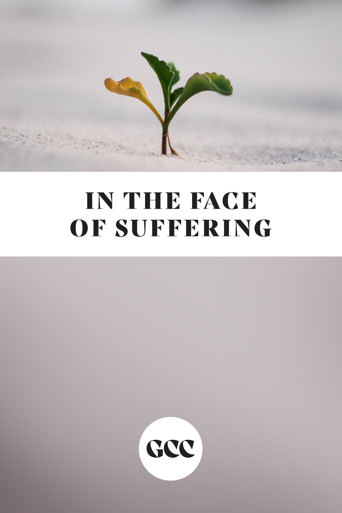 In the Face of Suffering-1.png