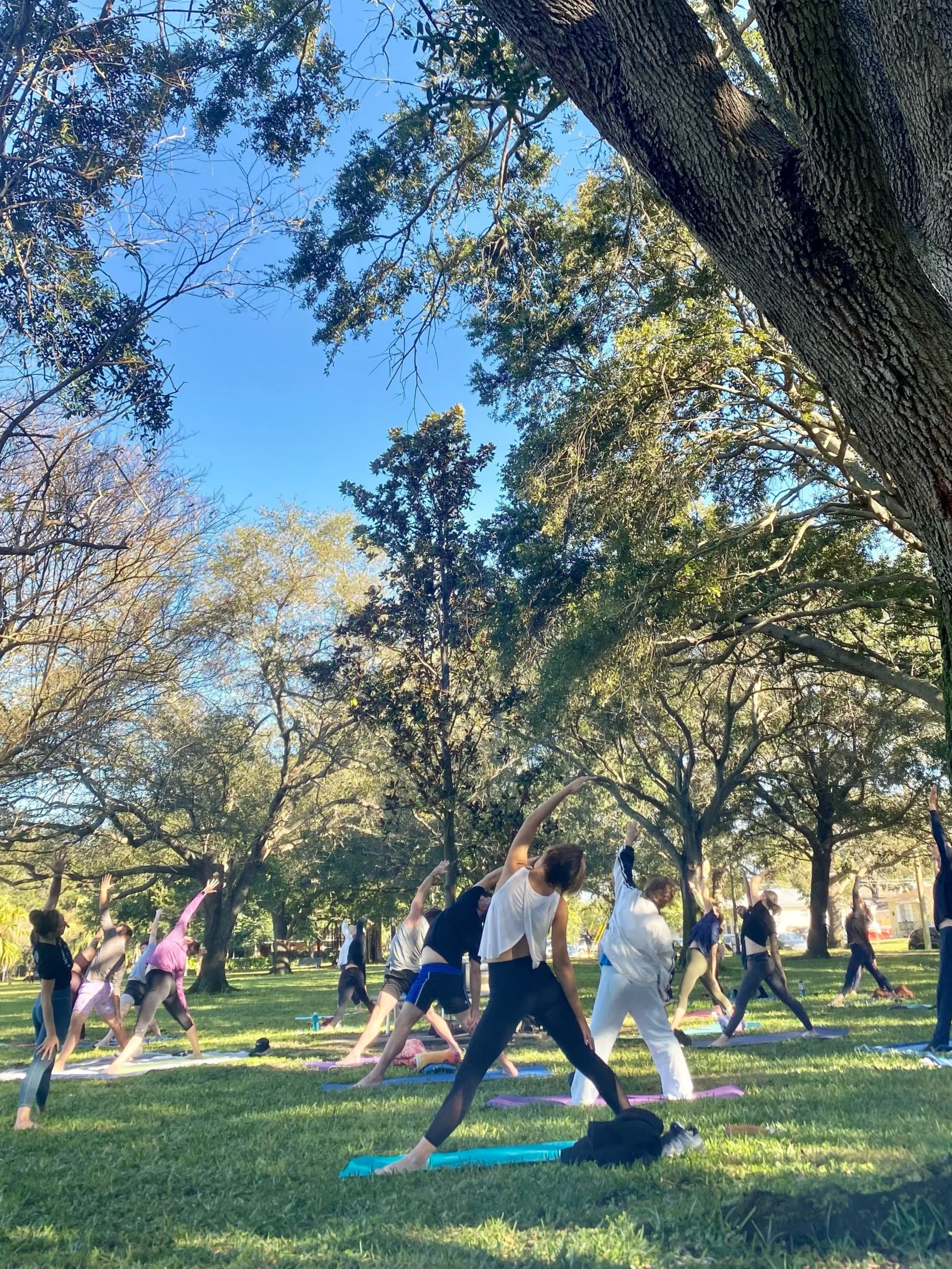 A group of people practicing yoga outdoors in a park, performing stretches on yoga mats under trees with blue sky.