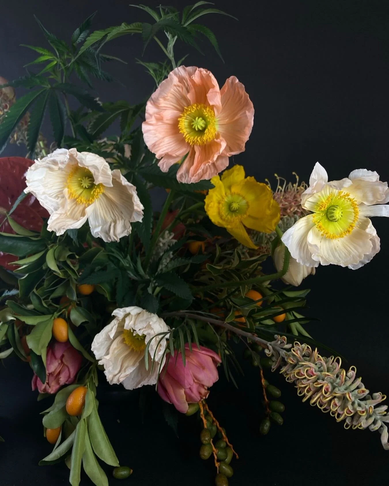 Oldie with @potluckstudio.co 🍀