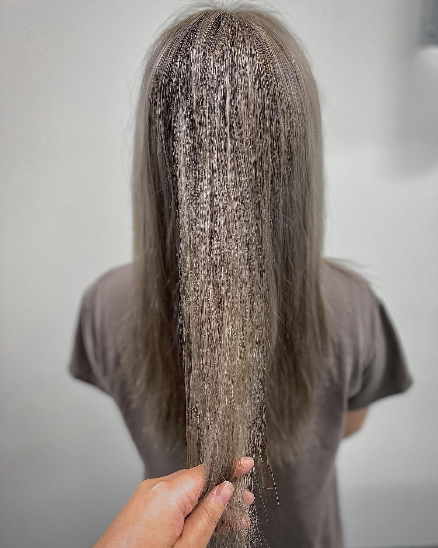 Keep up with your global touch ups for an even outcome
_______________
.
.
.
.
.
.
#balayage #babylights #foilyage #fanola #babyhighlights #highlights #teasylights #blonde #brownhair #wellaeducation #hairofinstagram #hairofIG #behindthechair #beforea