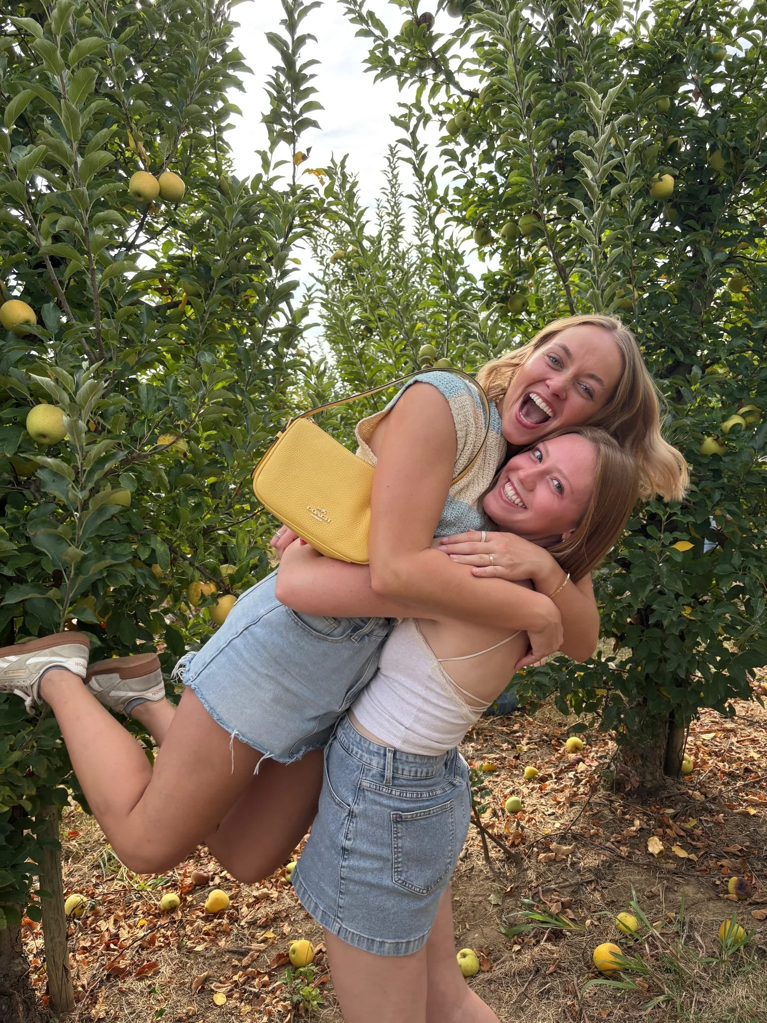 Delta Gamma at Saint Louis University