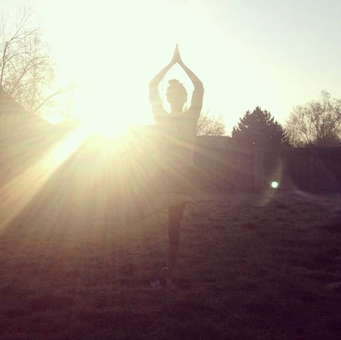 1 hour Reiki Session