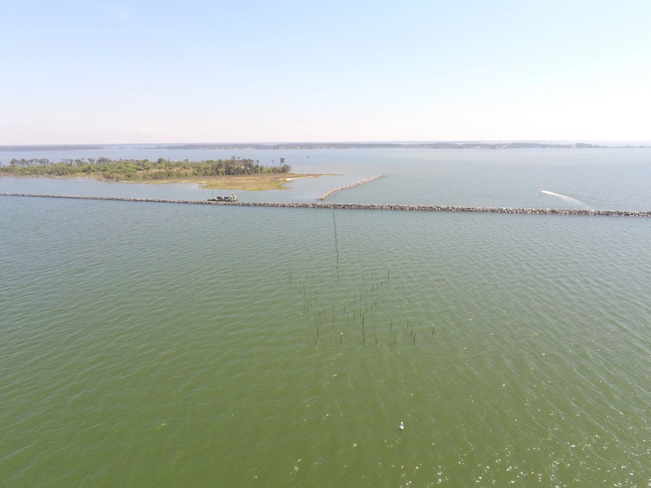 Barren Island, Chesapeake Bay, MD