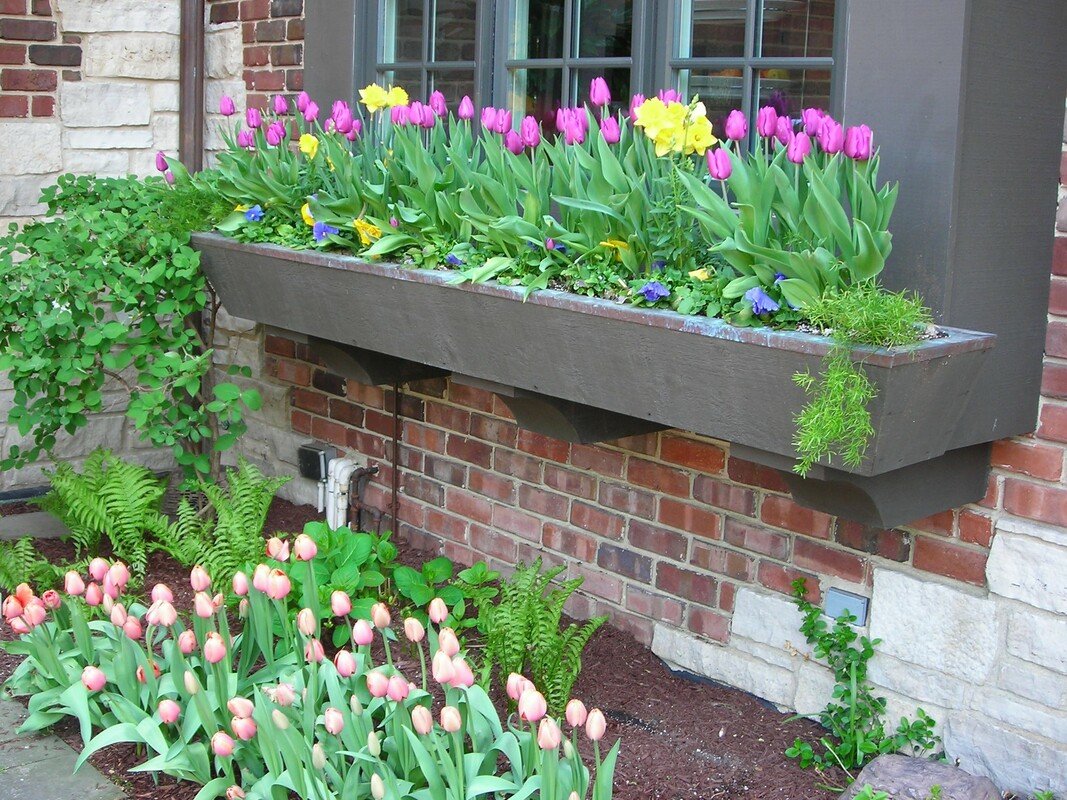 Spring Seasonal Color (8).jpg