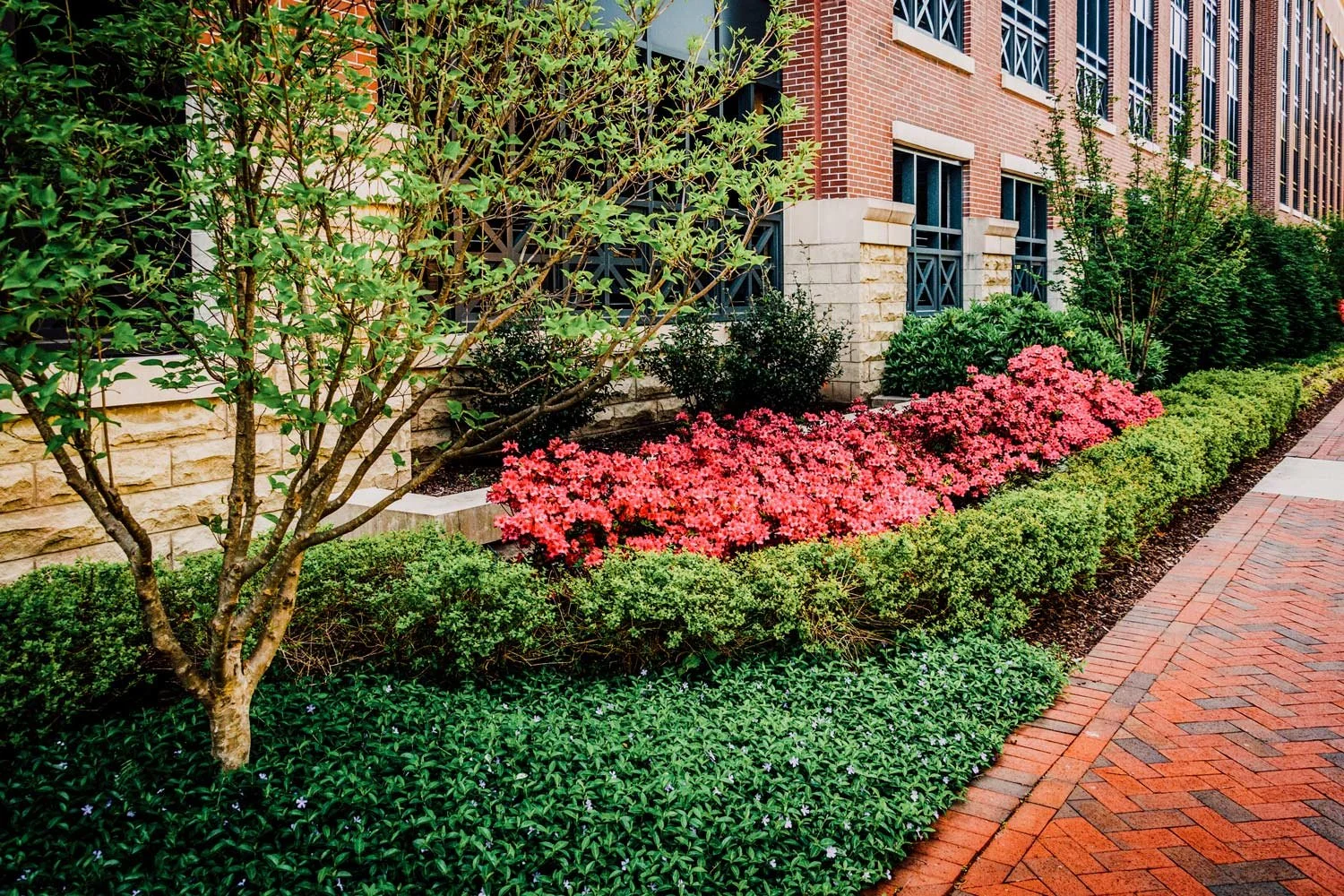 Commercial front landscape design with seasonal plantings