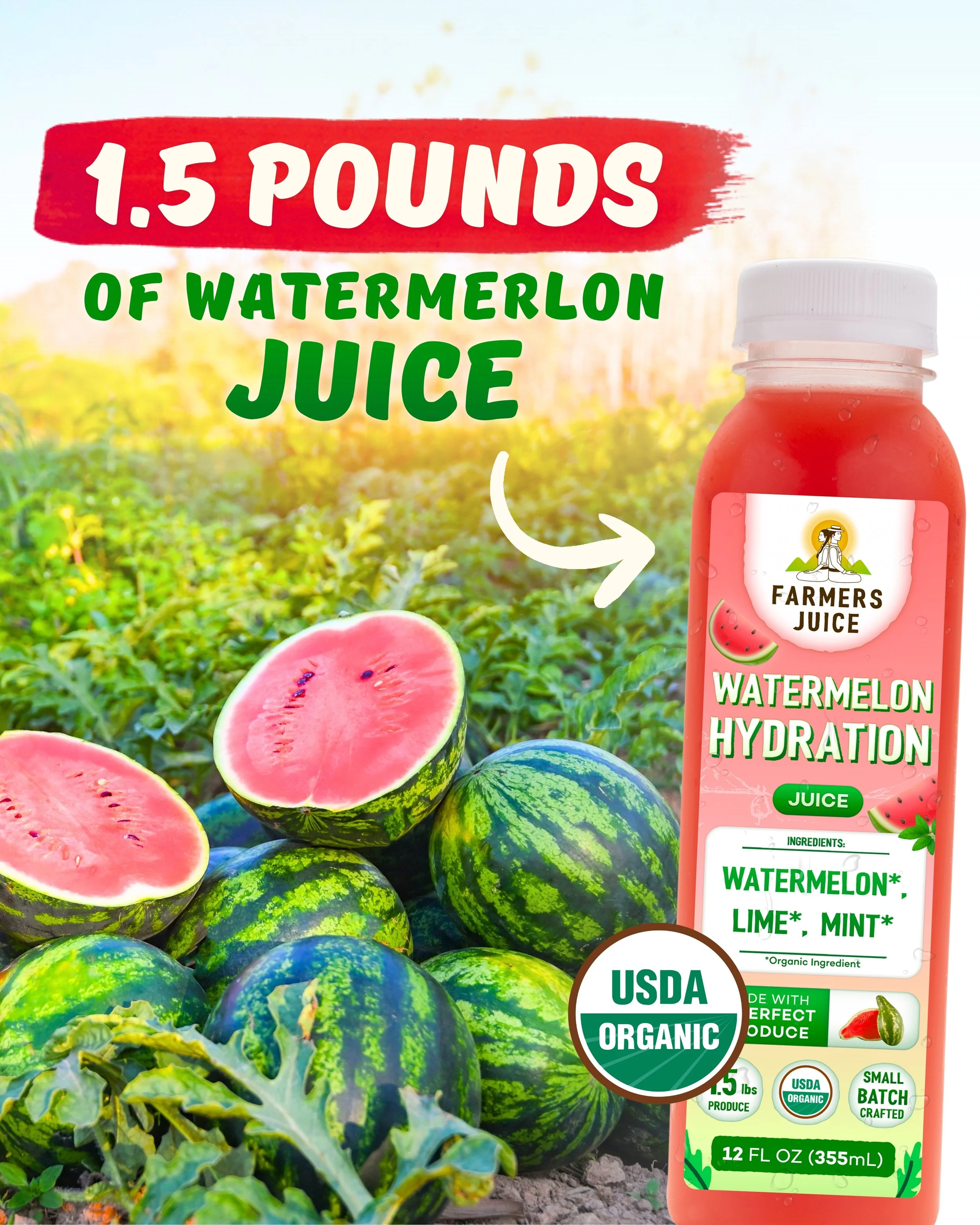 watermelon hydration carousel7.jpg