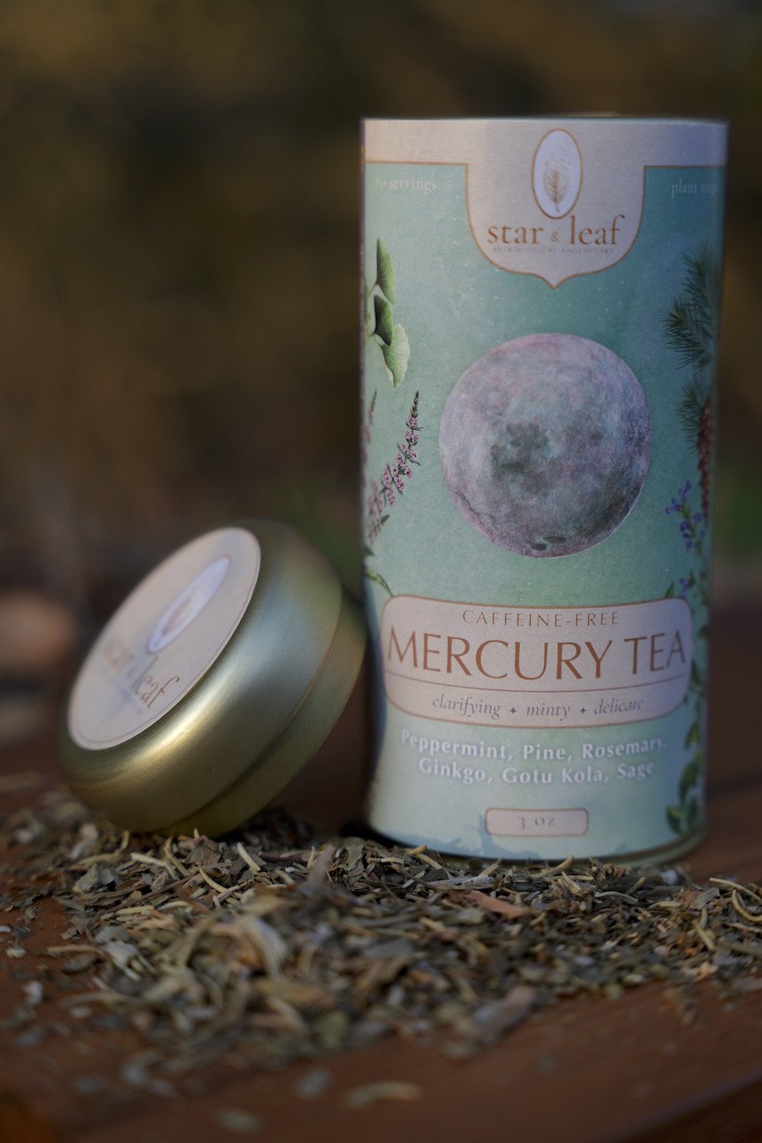 Mercury 2.jpeg