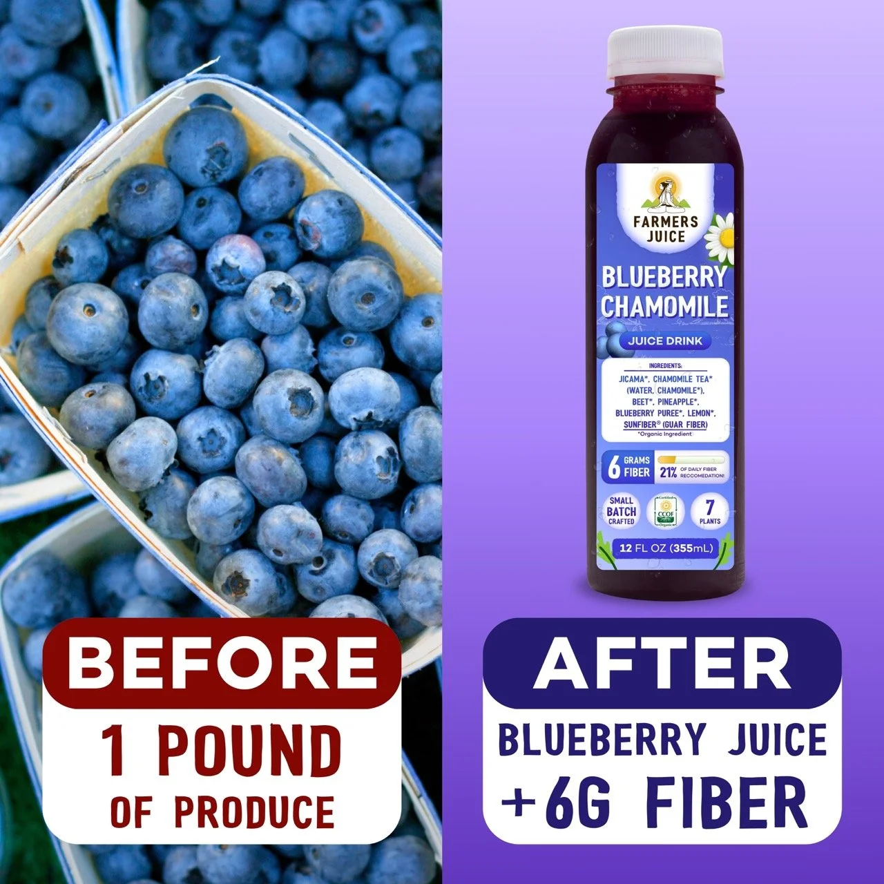 Juice Split Screen ads August 20253  Large.jpeg