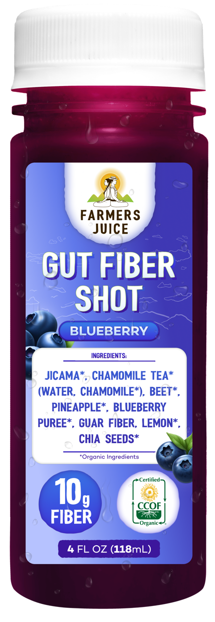 Blueberry Gut Fiber Shot Bottle Large.png