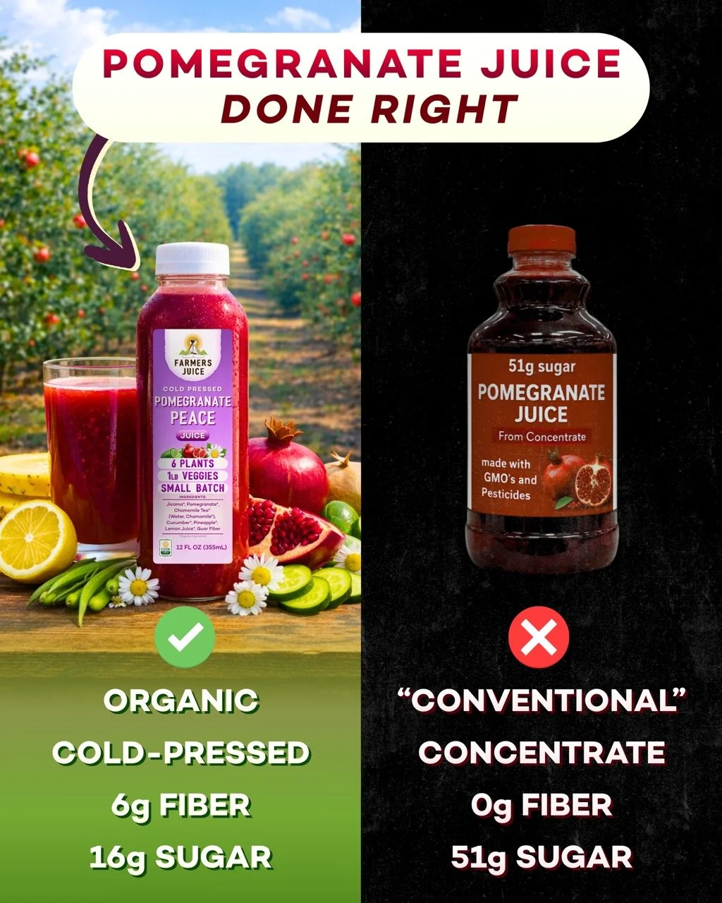 42 Large.jpeg