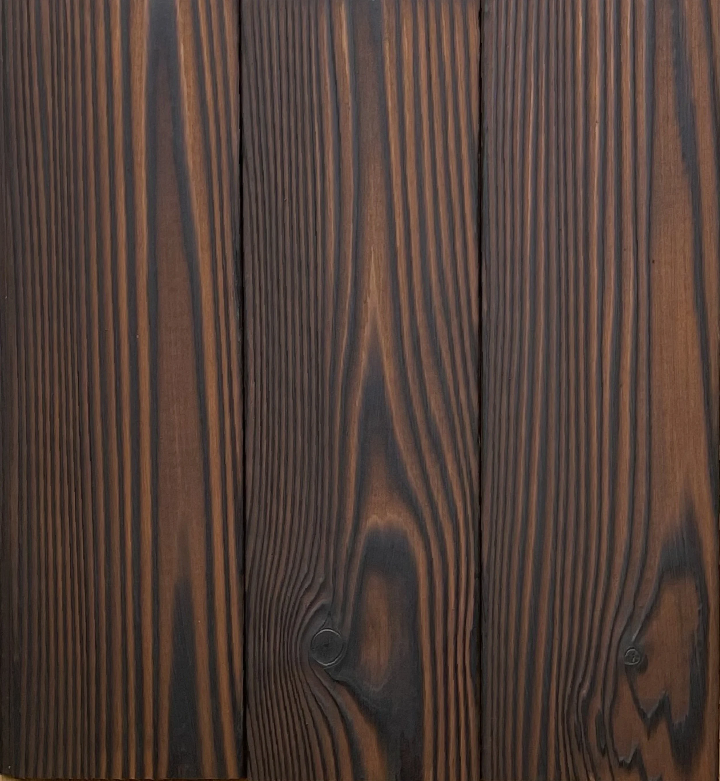 Charred Cedar Siding Canyon