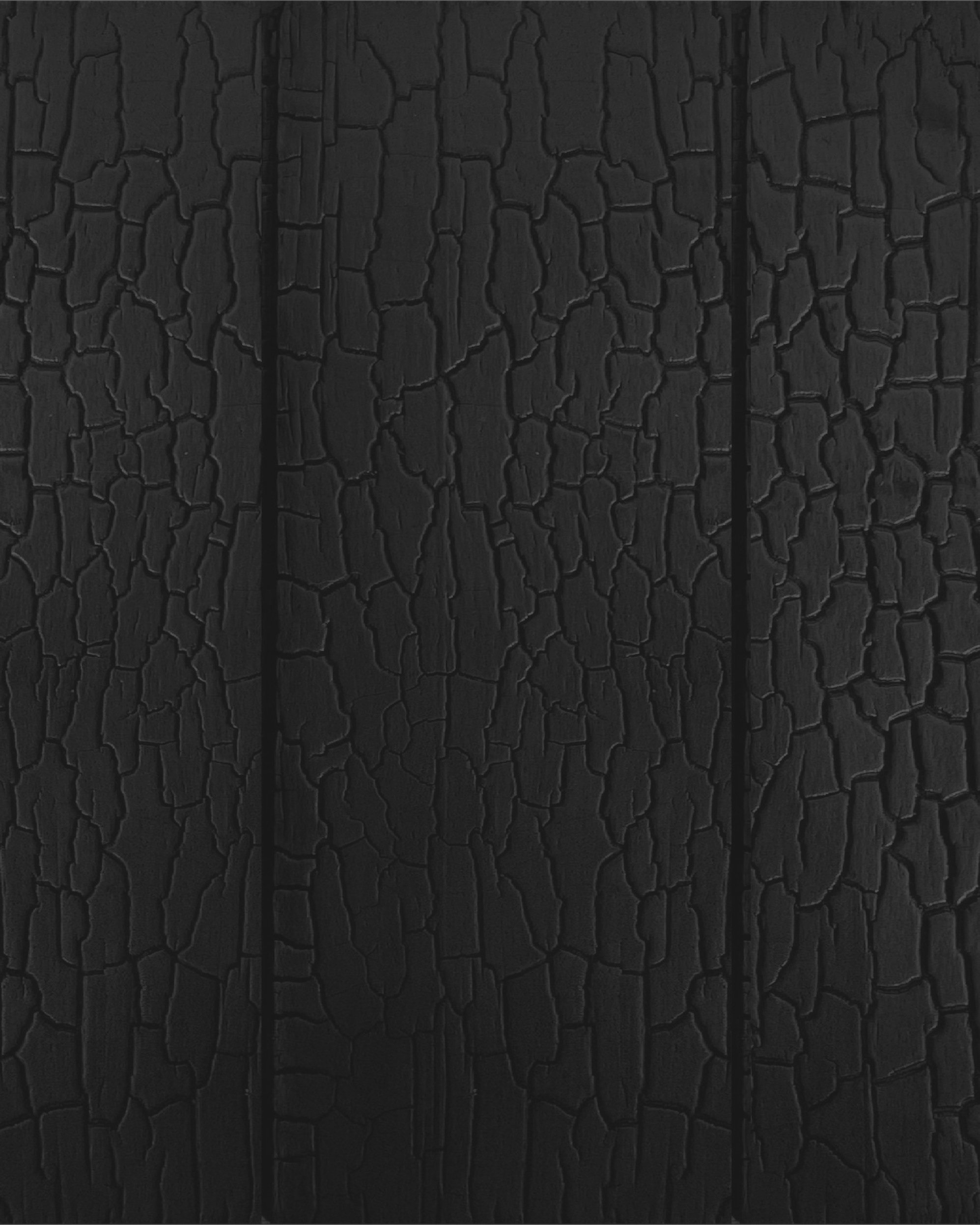 Charred Accoya Siding