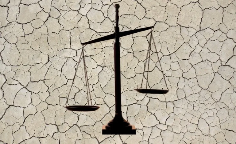 The profession's role in addressing the climate crisis