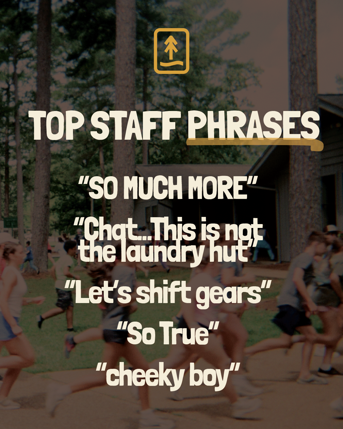 Artboard 2 copy 13@2x.png