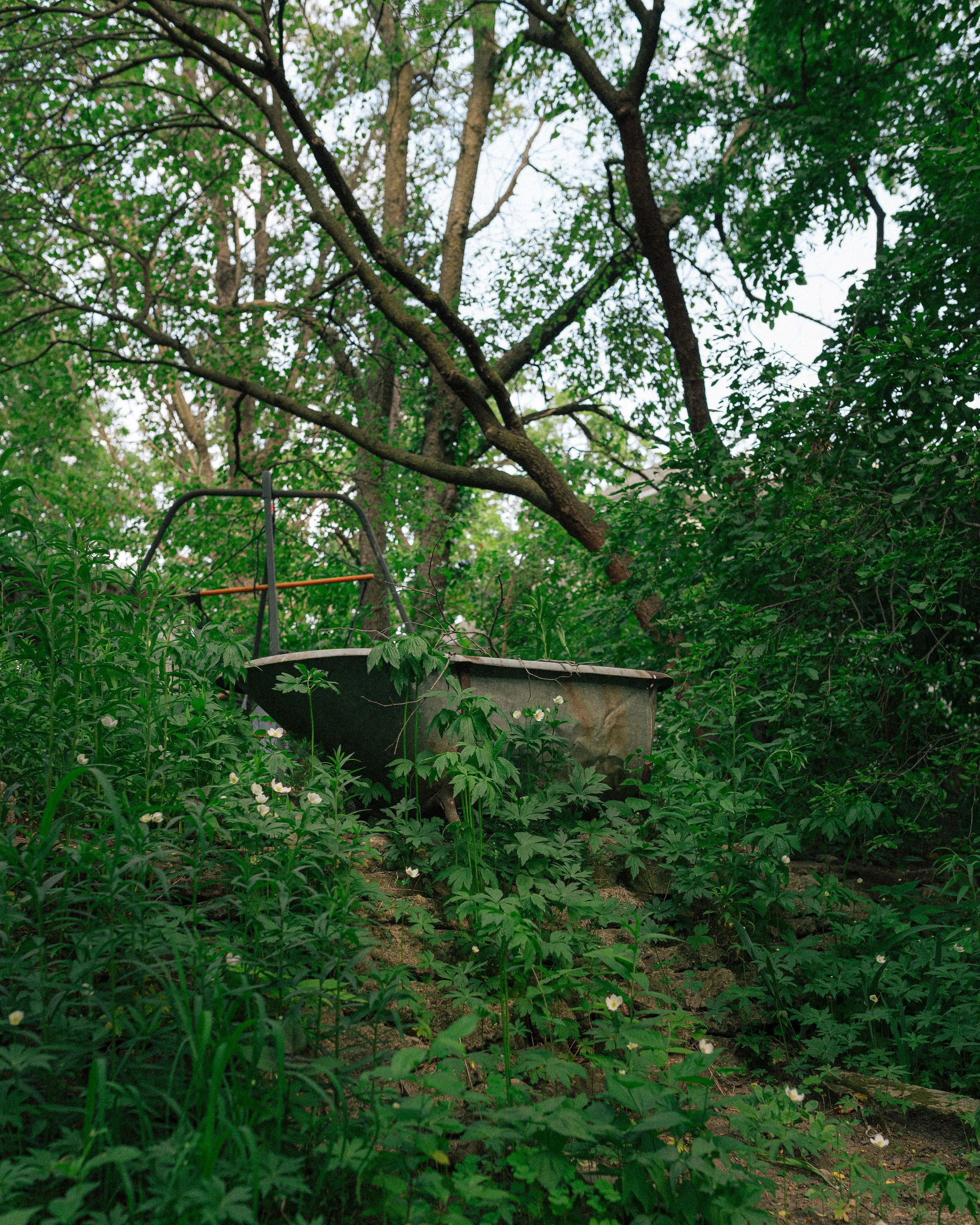 DSC_2975.jpg