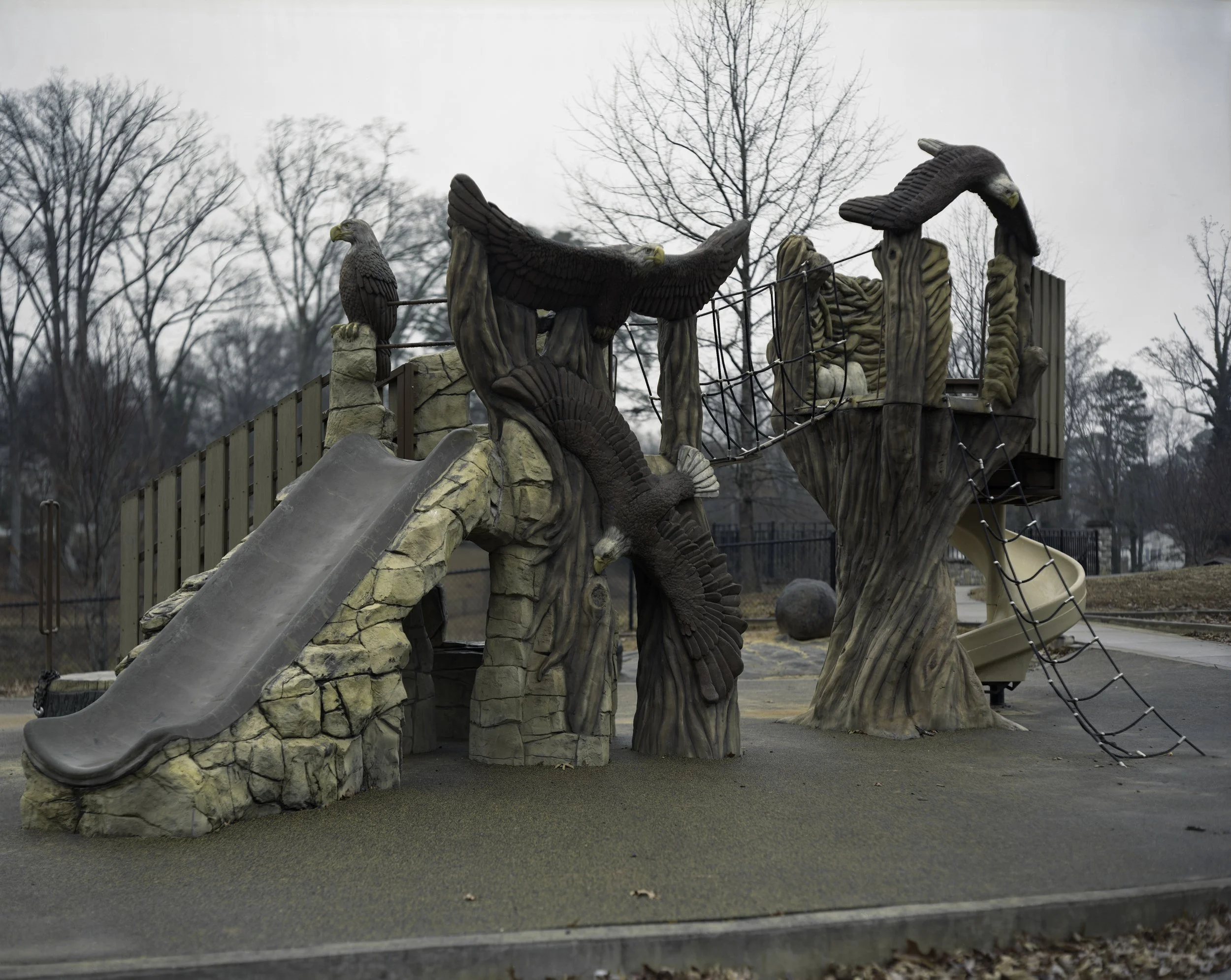 img20260107_19053322 copy-2-Edit copy.jpg