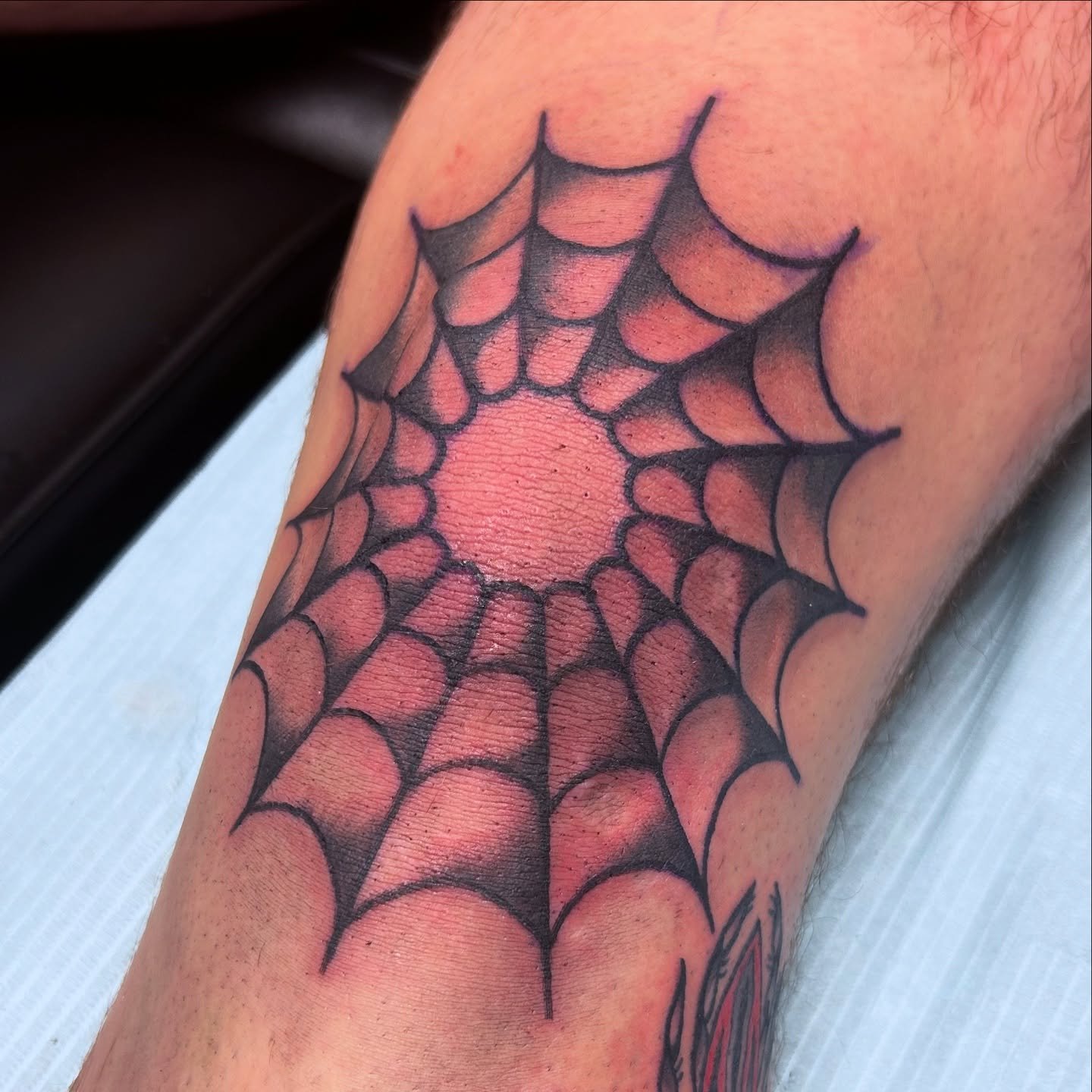 Web with accompanying spider for Shane from today 😁 🕸️🕷️