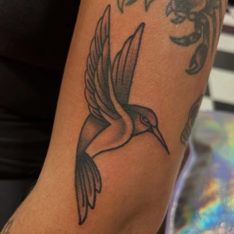 I love myself a soft black and gray birb. Thank you so much @livie.lew 🫶🏻 always a great hang out!