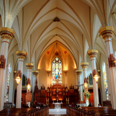 volunteer with stability, counseling, pro-life, immigration, refugee services