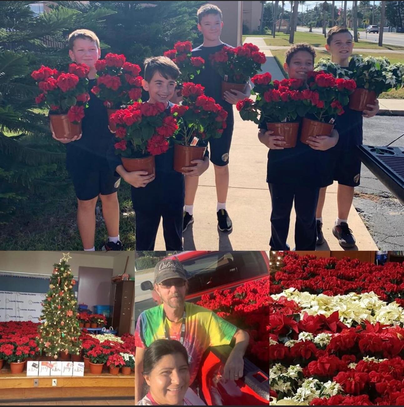 🌺The poinsettias have arrived!!! 
Our students helped the HSA fill our school with these beautiful Christmas plants. 🌺 
We are looking forward to seeing everyone this Sunday (9am-1pm) during our Poinsettia Sale. Invite your family, friends &amp; ne