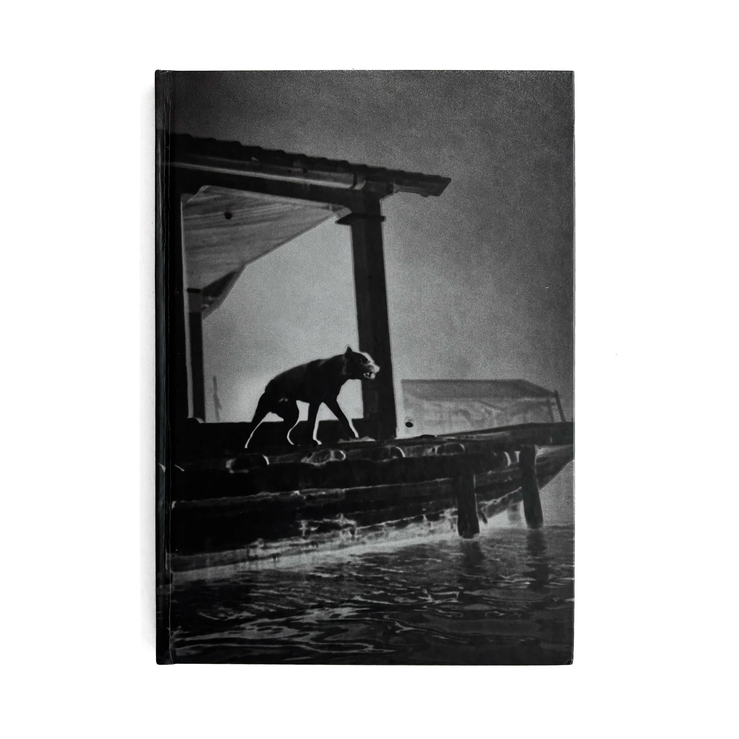 Jorge Panchoaga | Dulce Y Salada