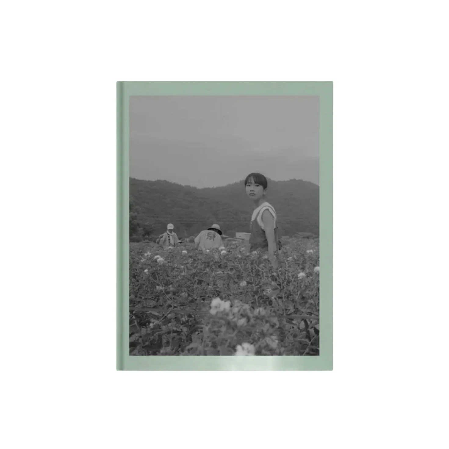 Teresa Freitas | Flowers Vol. 1