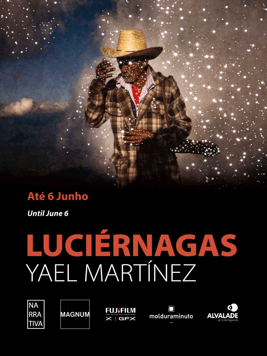 YM_Luciernagas.png