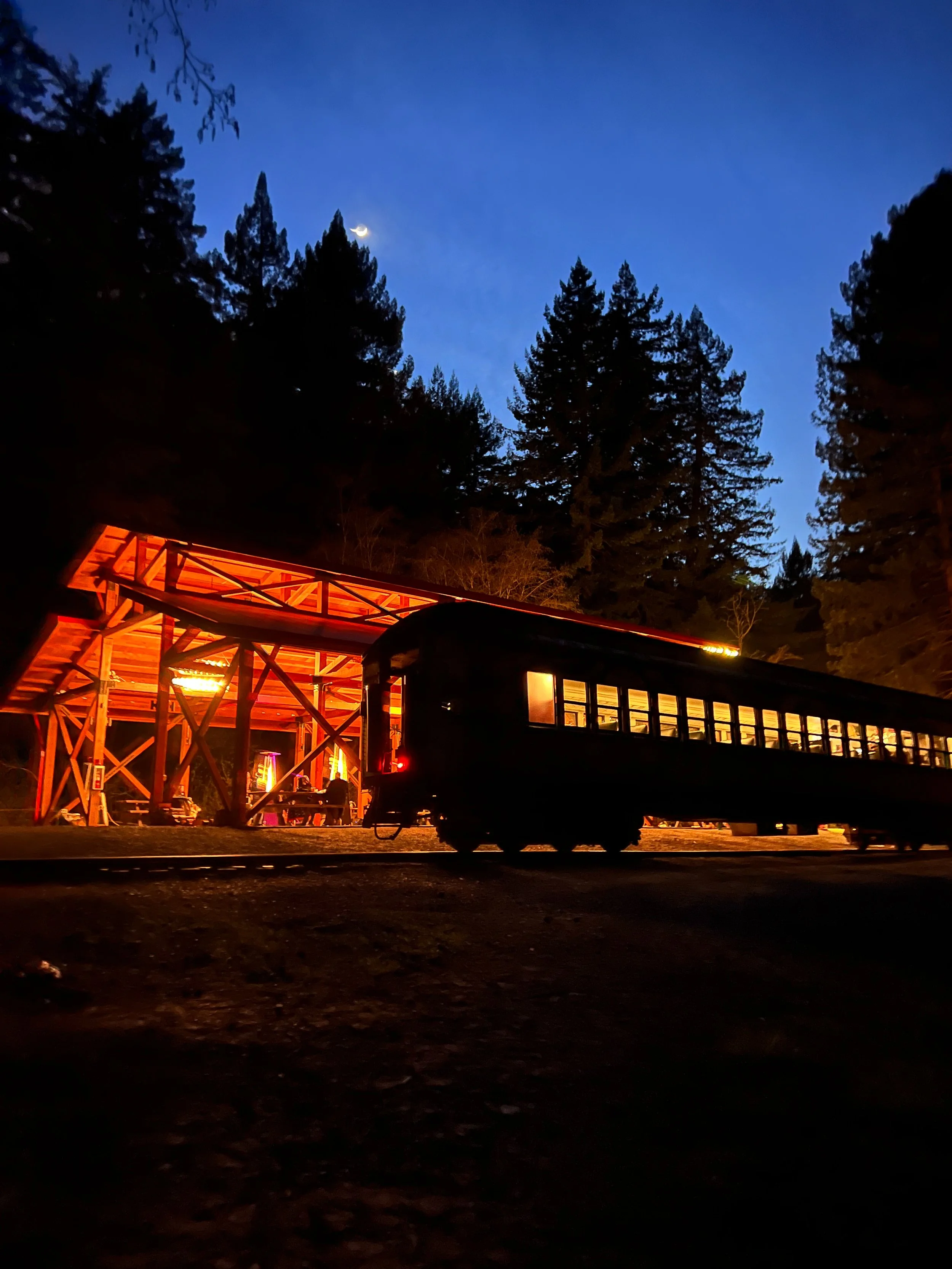 Skunk Rains All About Visiting the Skunk Train in Mendocino — Pacific Adventure Club