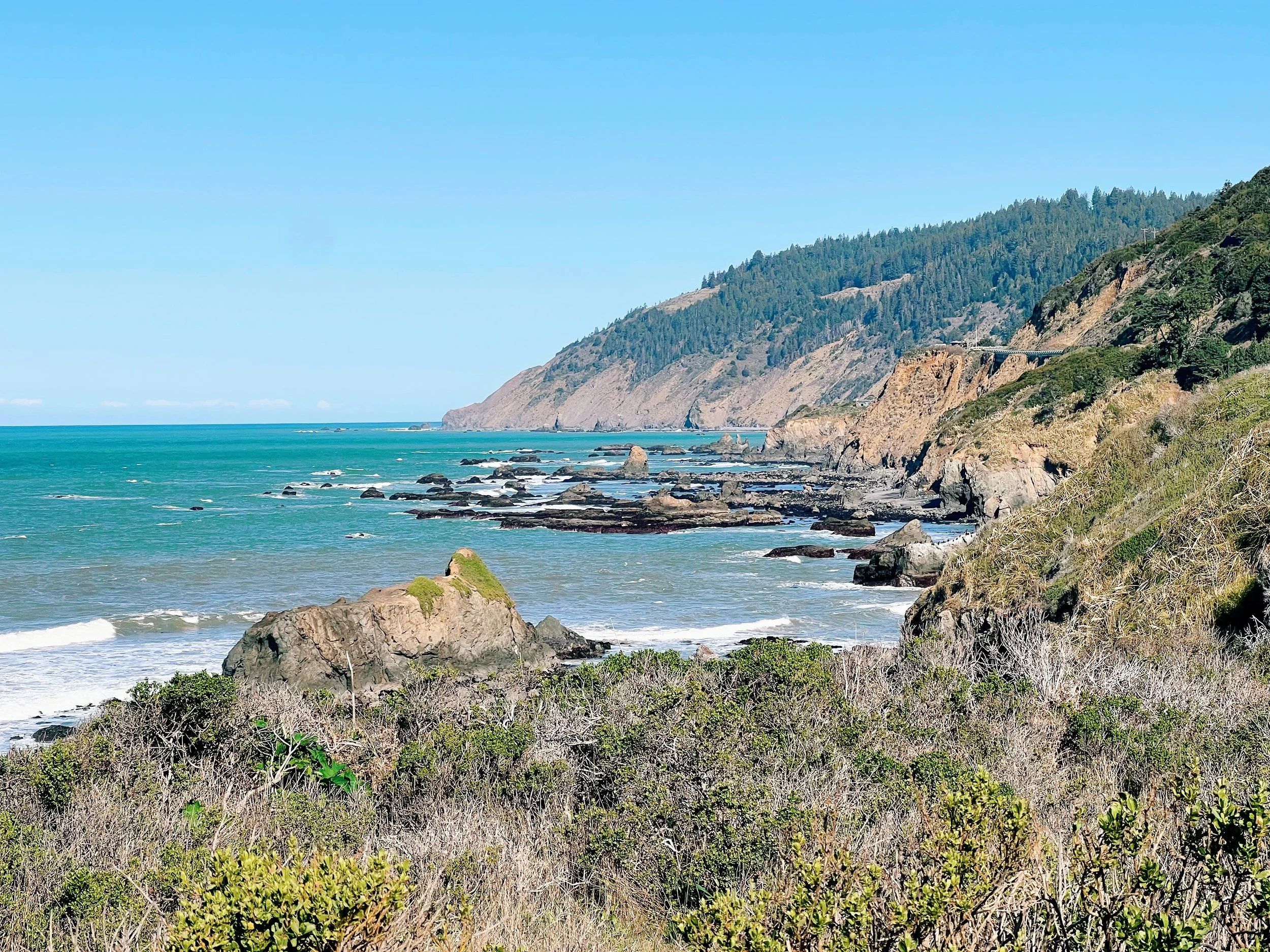 The Hidden Treasures of Mendocino County, California — Pacific