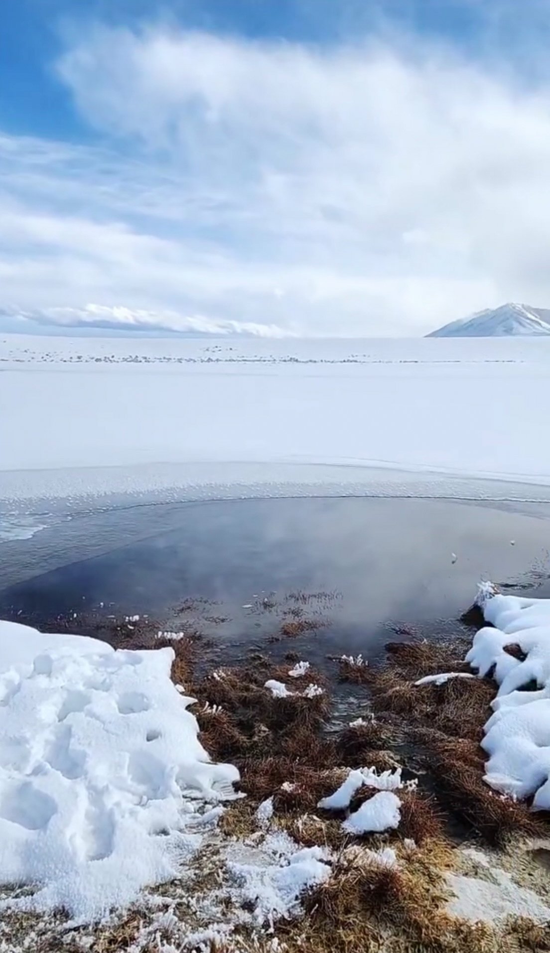 Wild Willy's Hot Spring