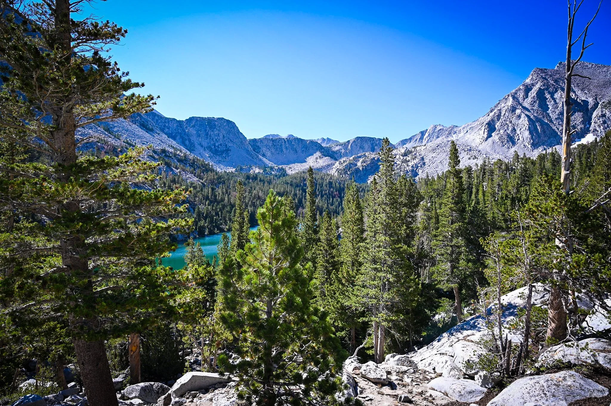 Backpacking Gear Guides