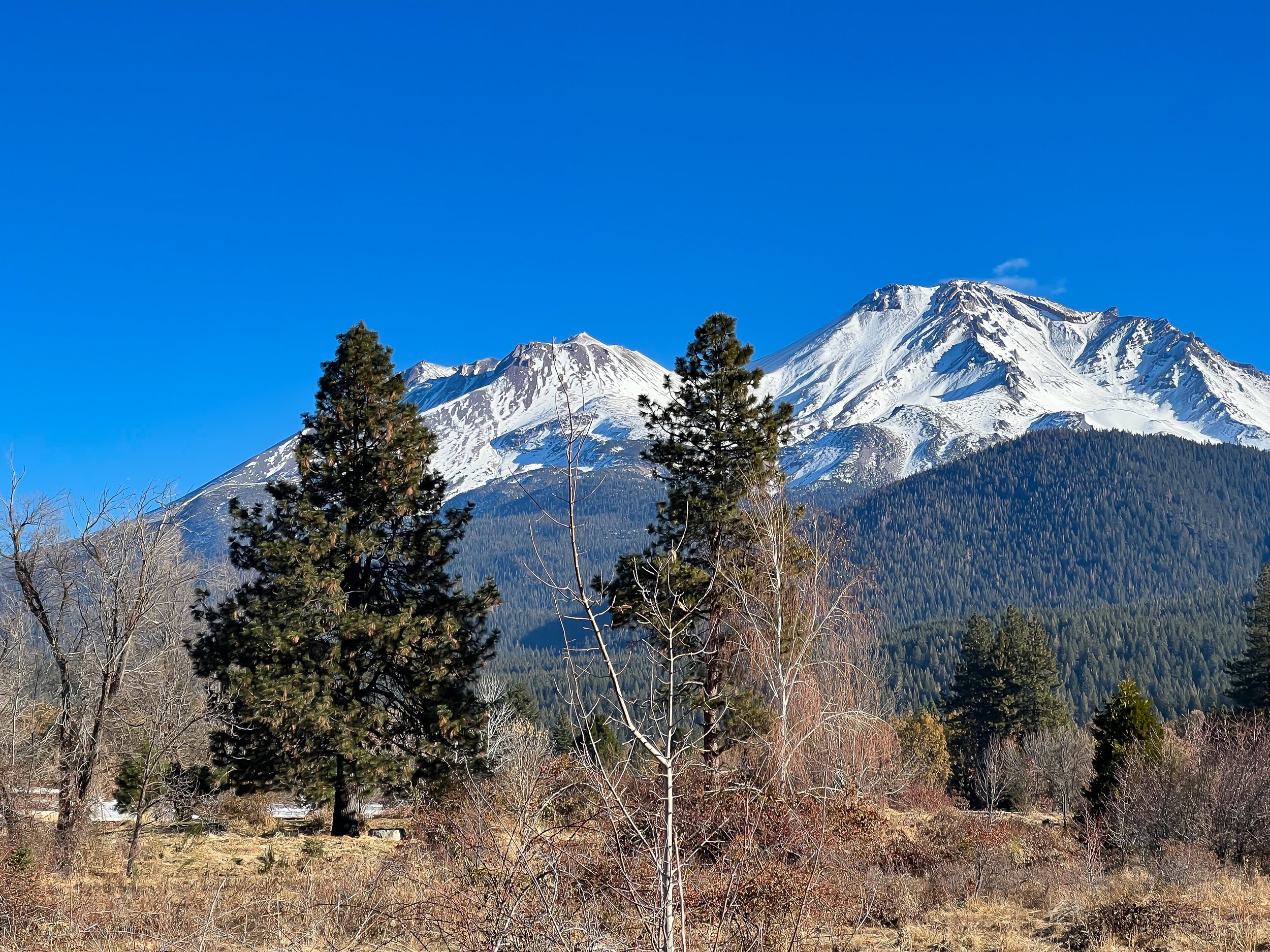Mt. Shasta, Pluto's Cave, and Extraterrestrial Life