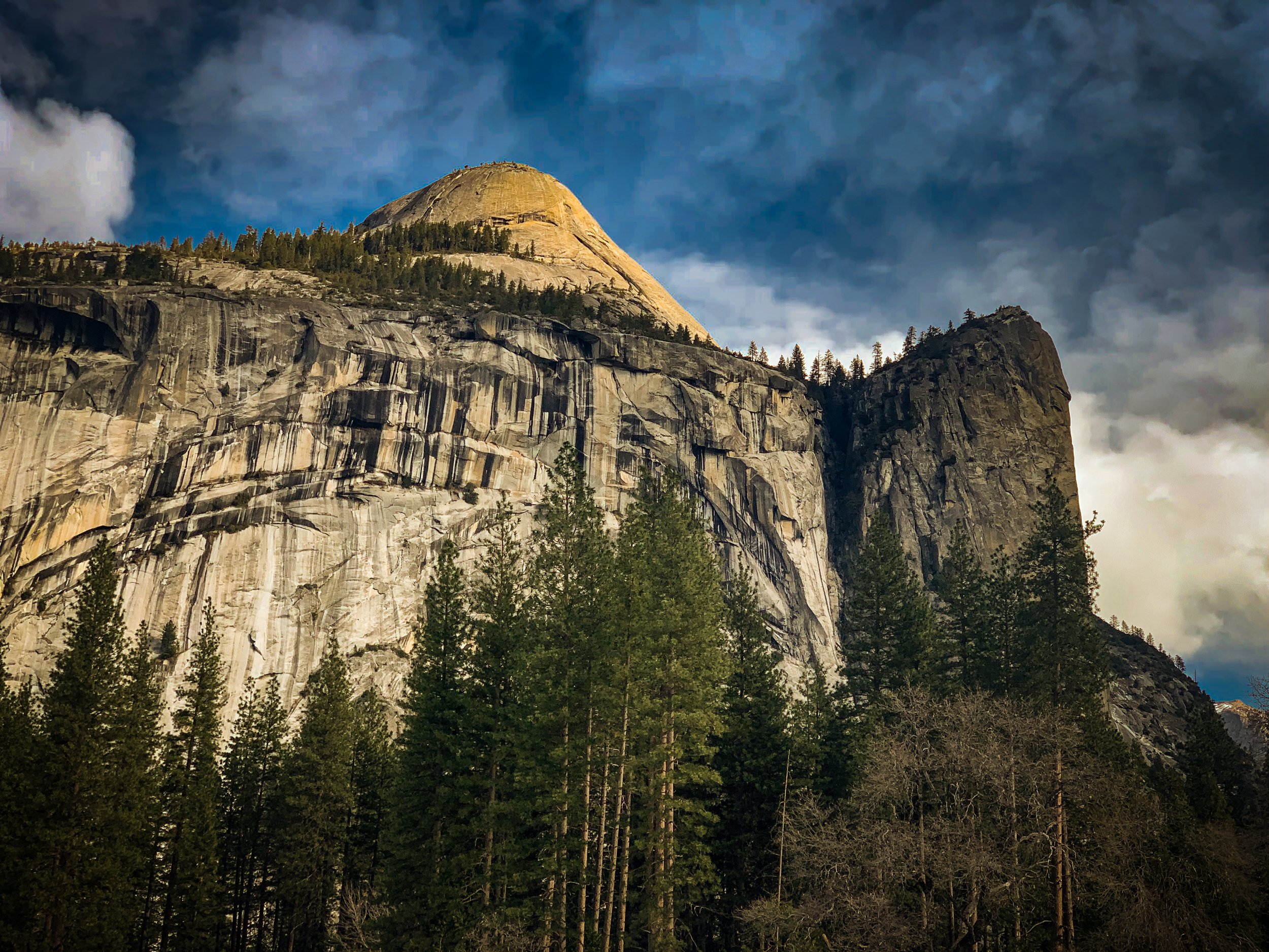 The Forgotten Children of Yosemite National Park