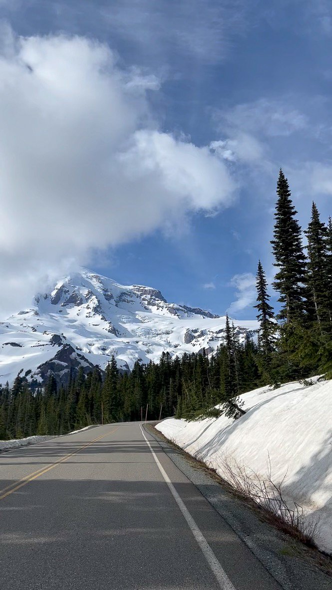 Mount Rainier National Park, Washington.