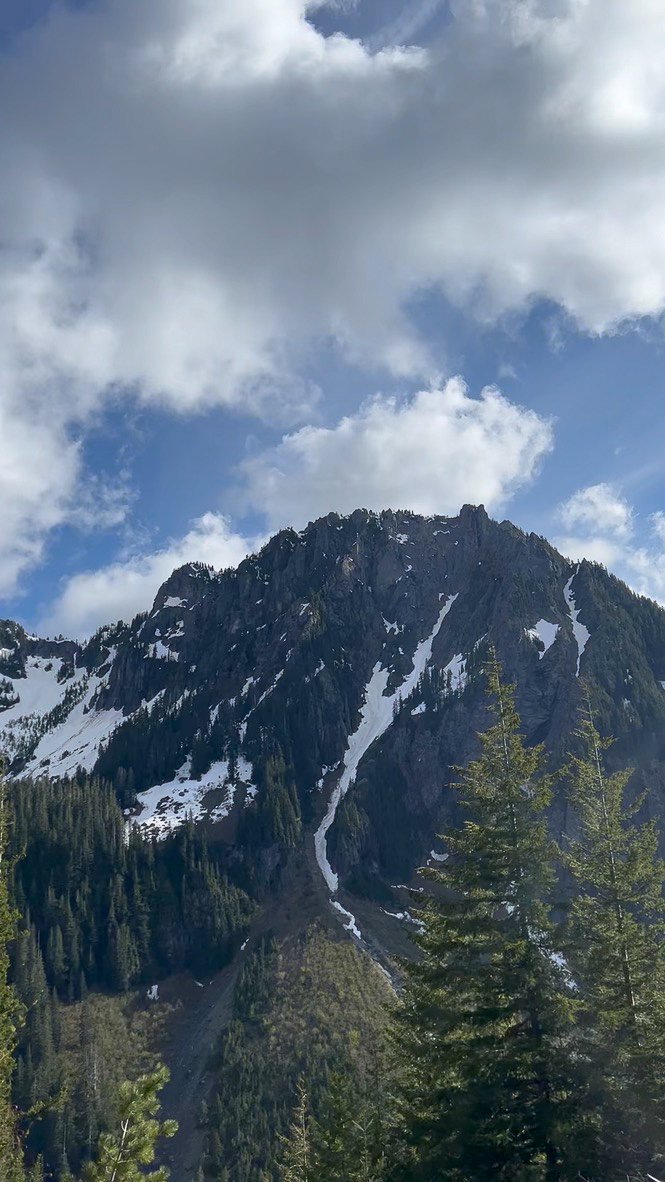 Mount Rainier National Park, Washington.