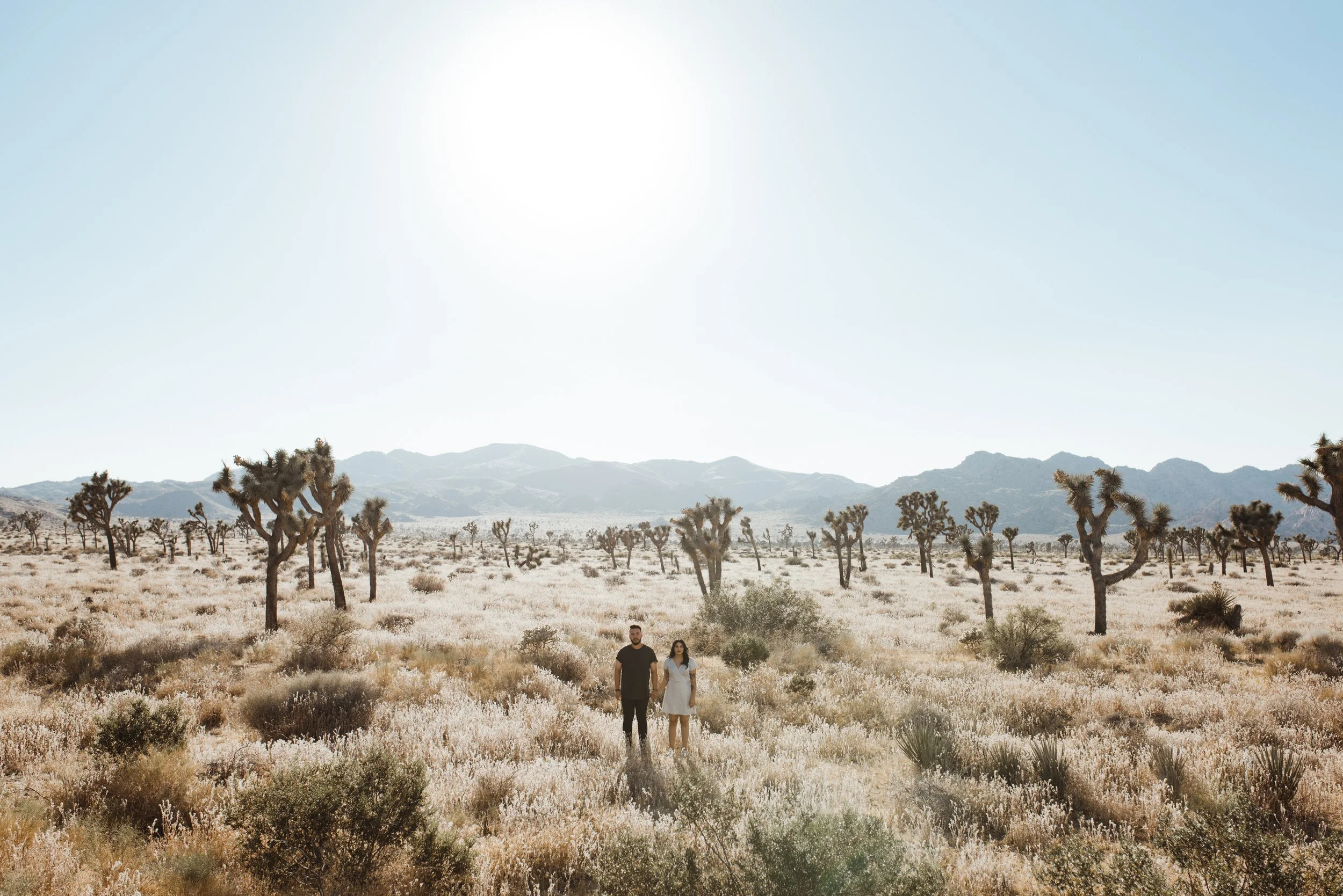 Joshua Tree Engagement - Courtney Paige Photography
