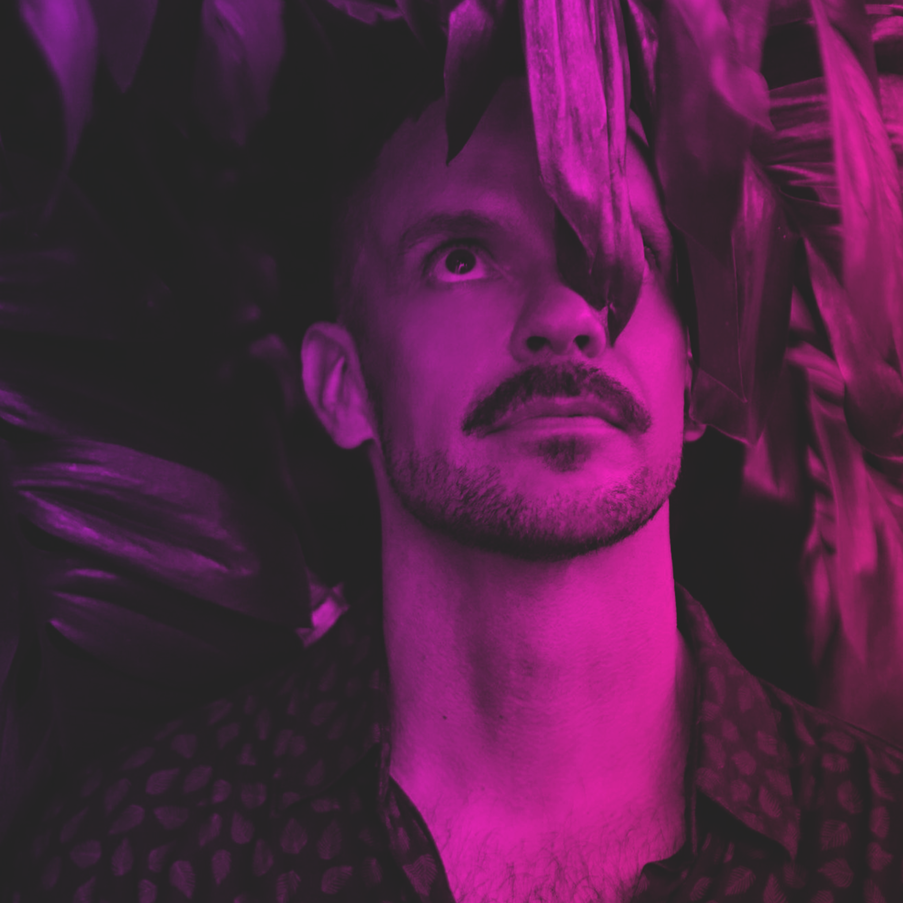 Per QX pink SD.png