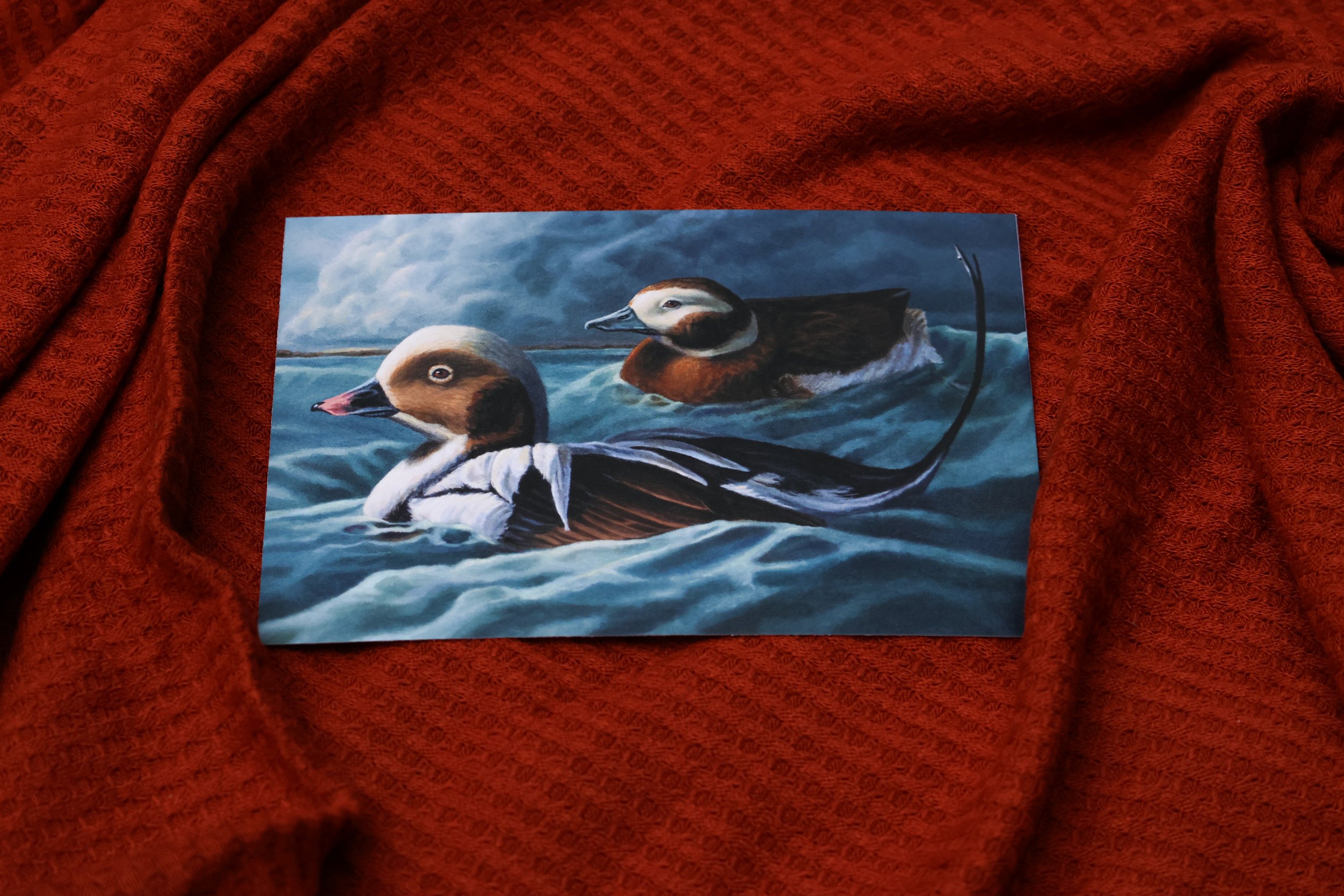 DuckPrints26 -70.JPG