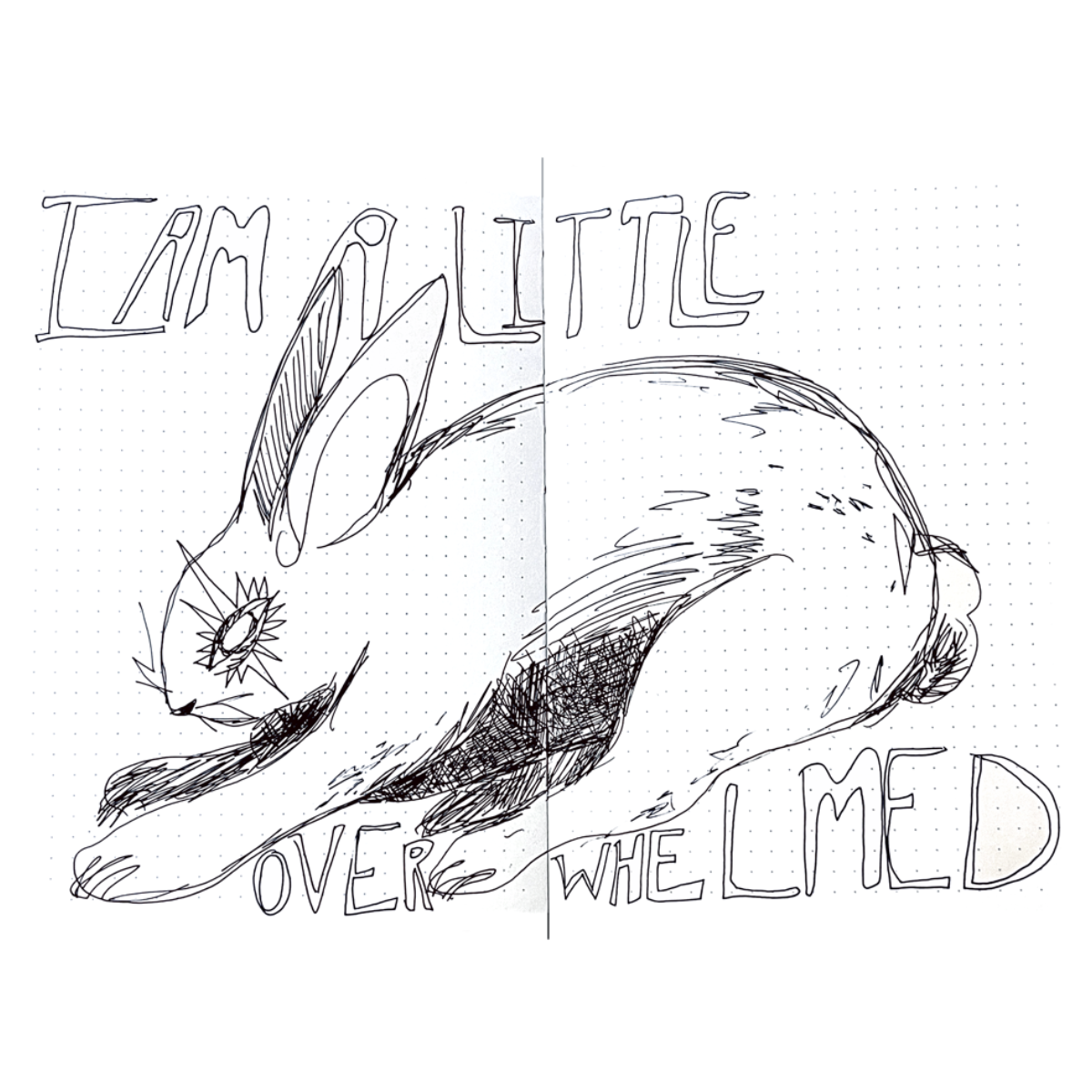 Untitled_Artwork.png