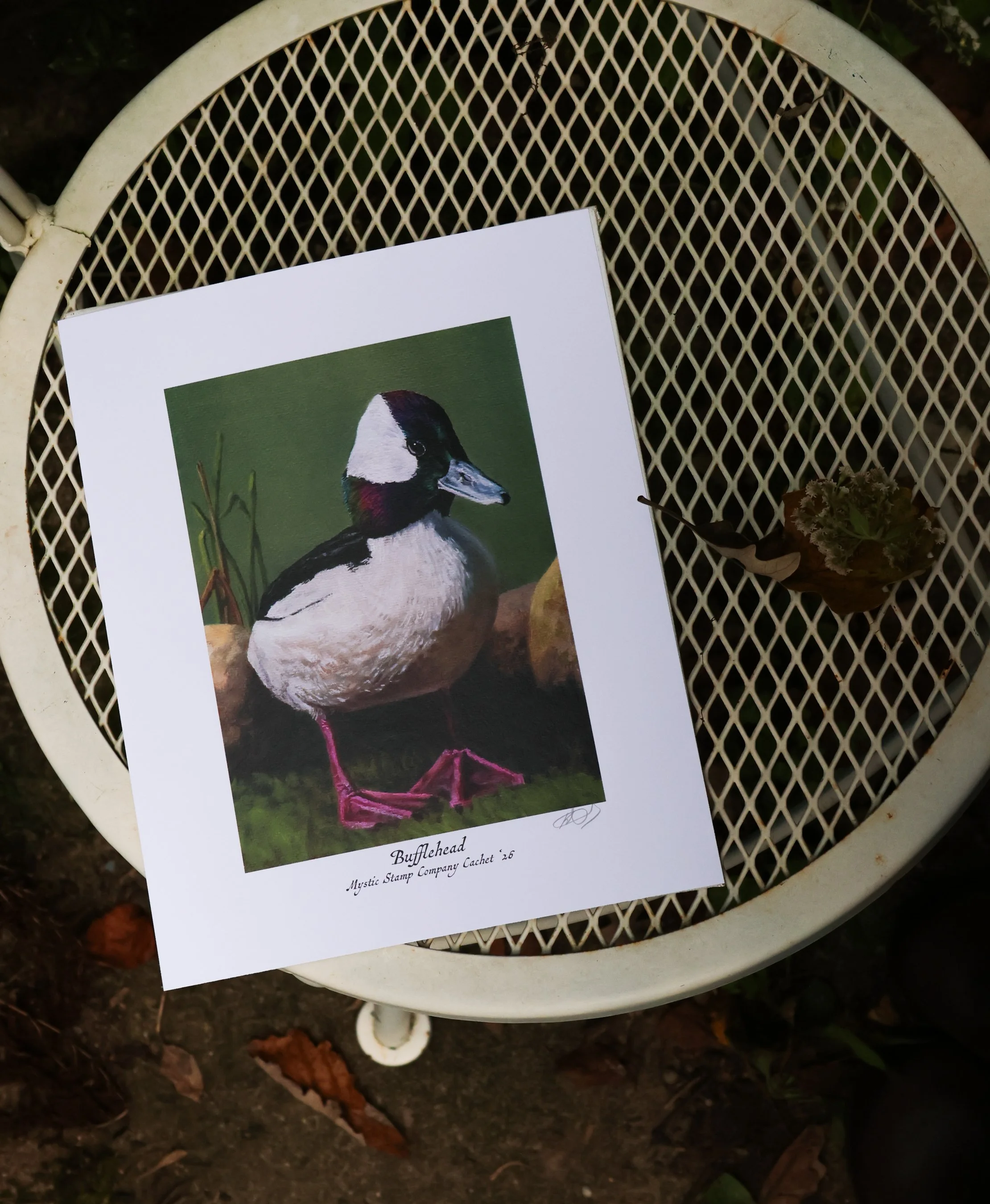 DuckPrints26 -49.jpg