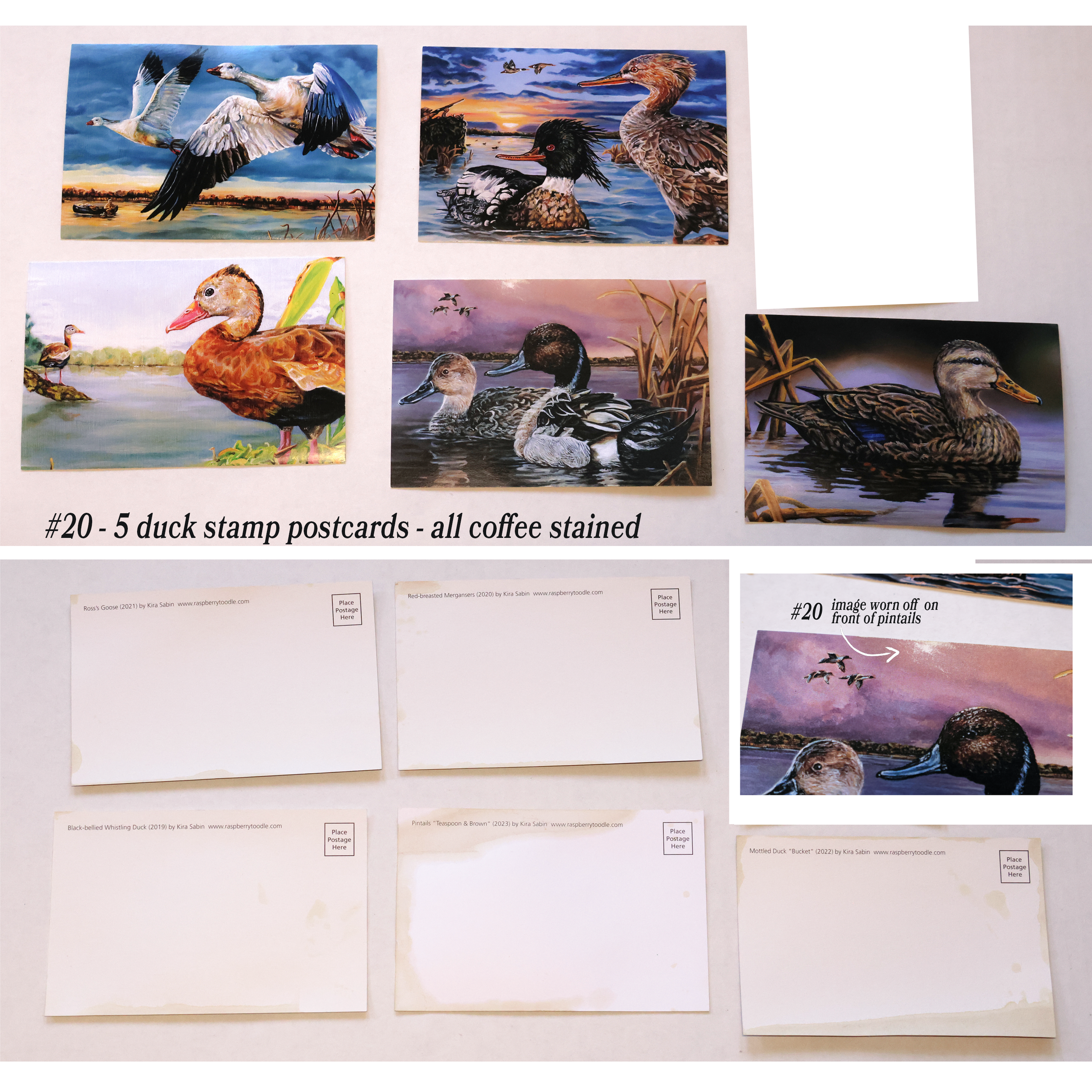 20duckpostcards.png
