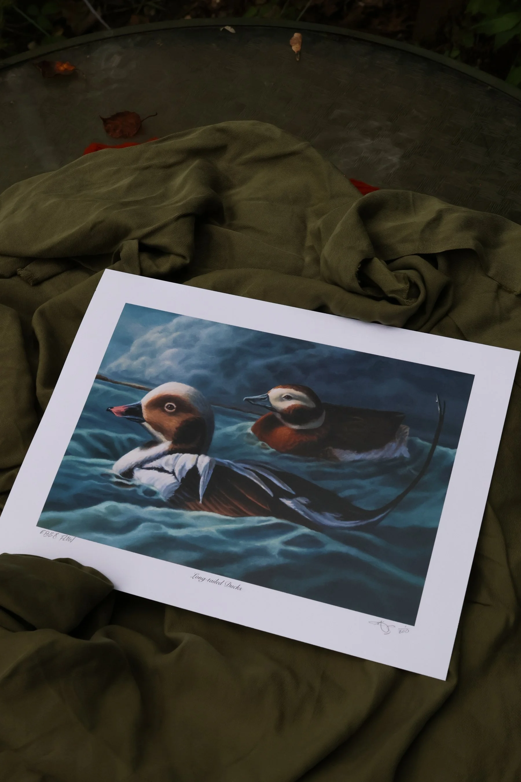 DuckPrints26 -09.JPG