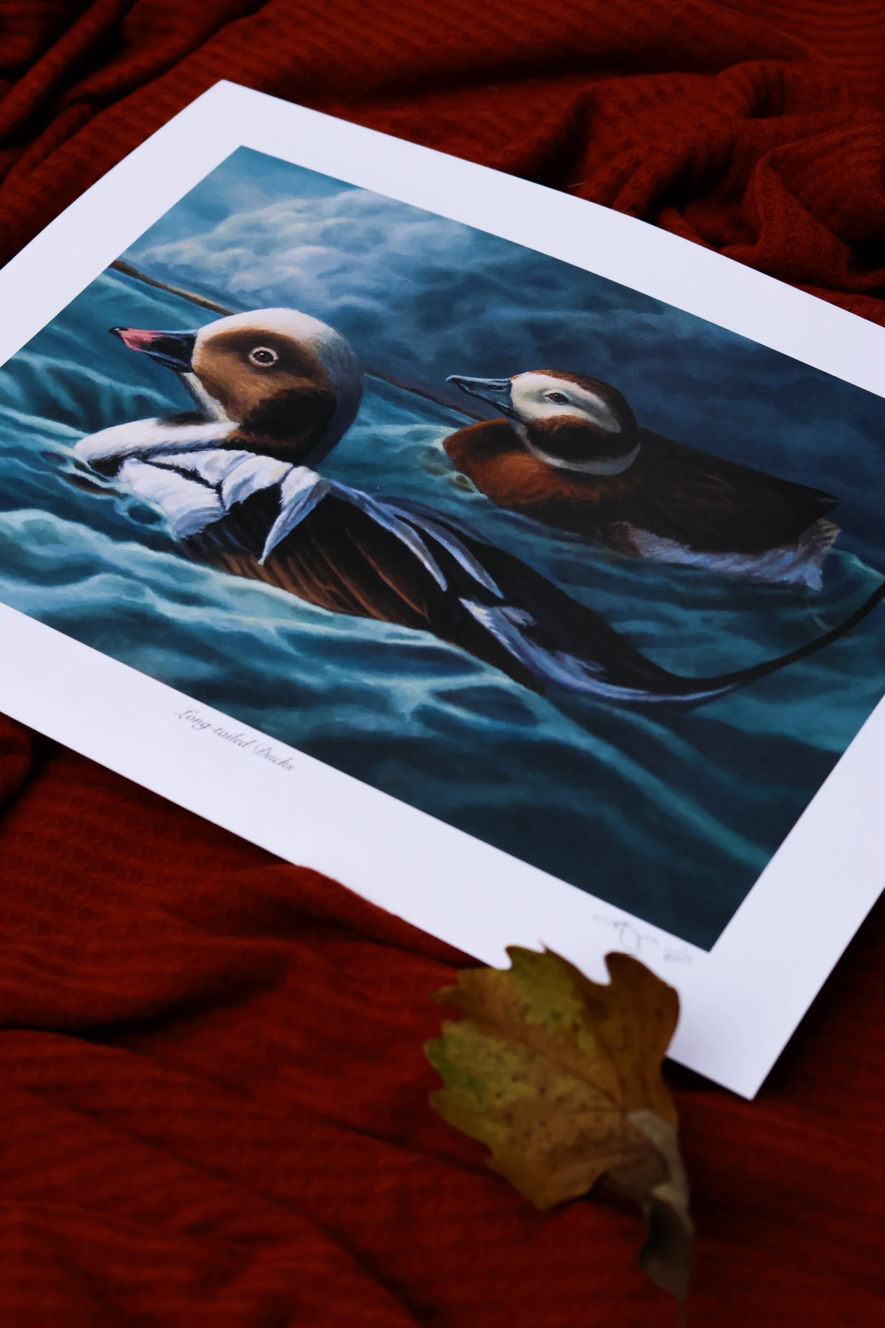 DuckPrints26 -60.JPG