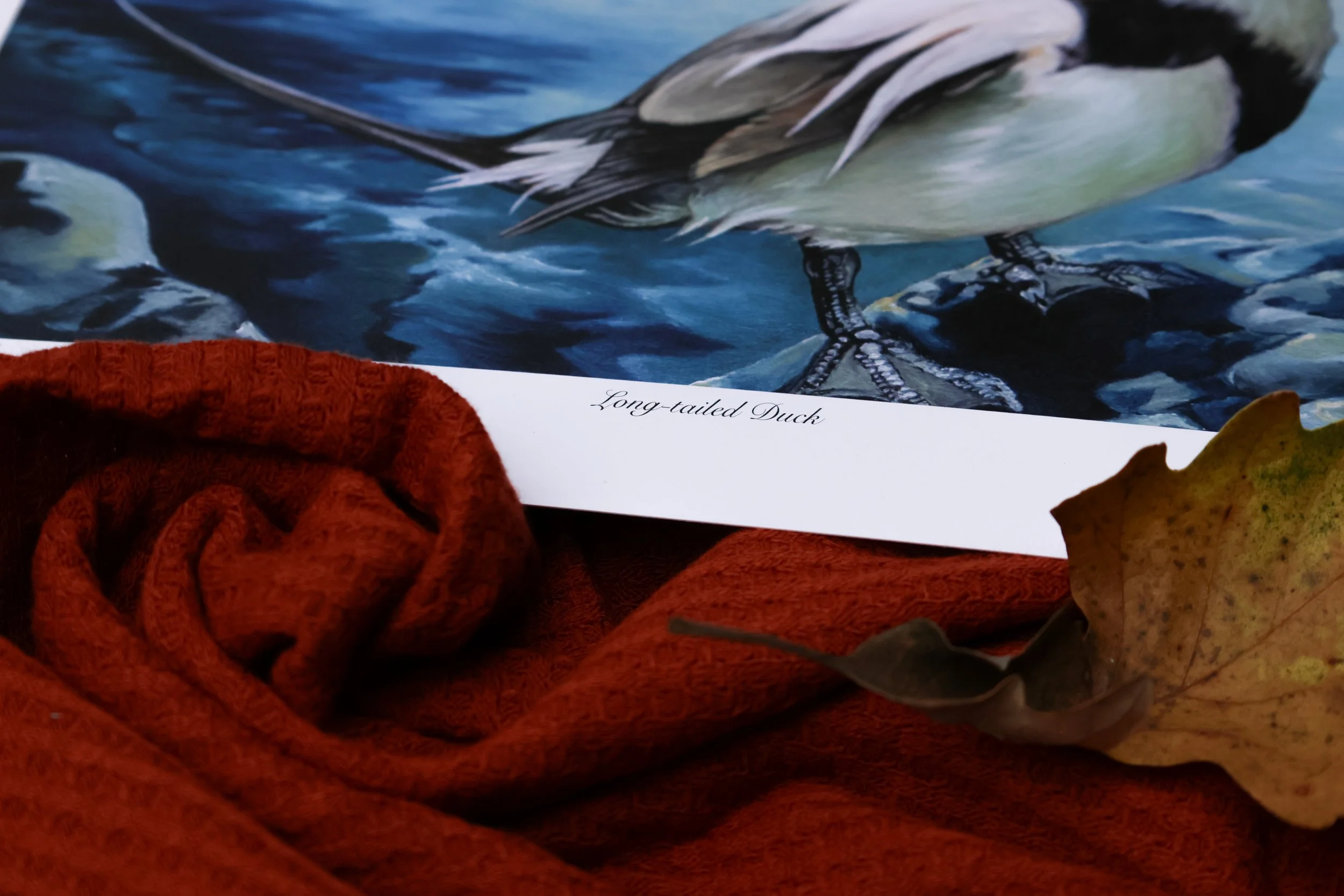 DuckPrints26 -40.JPG