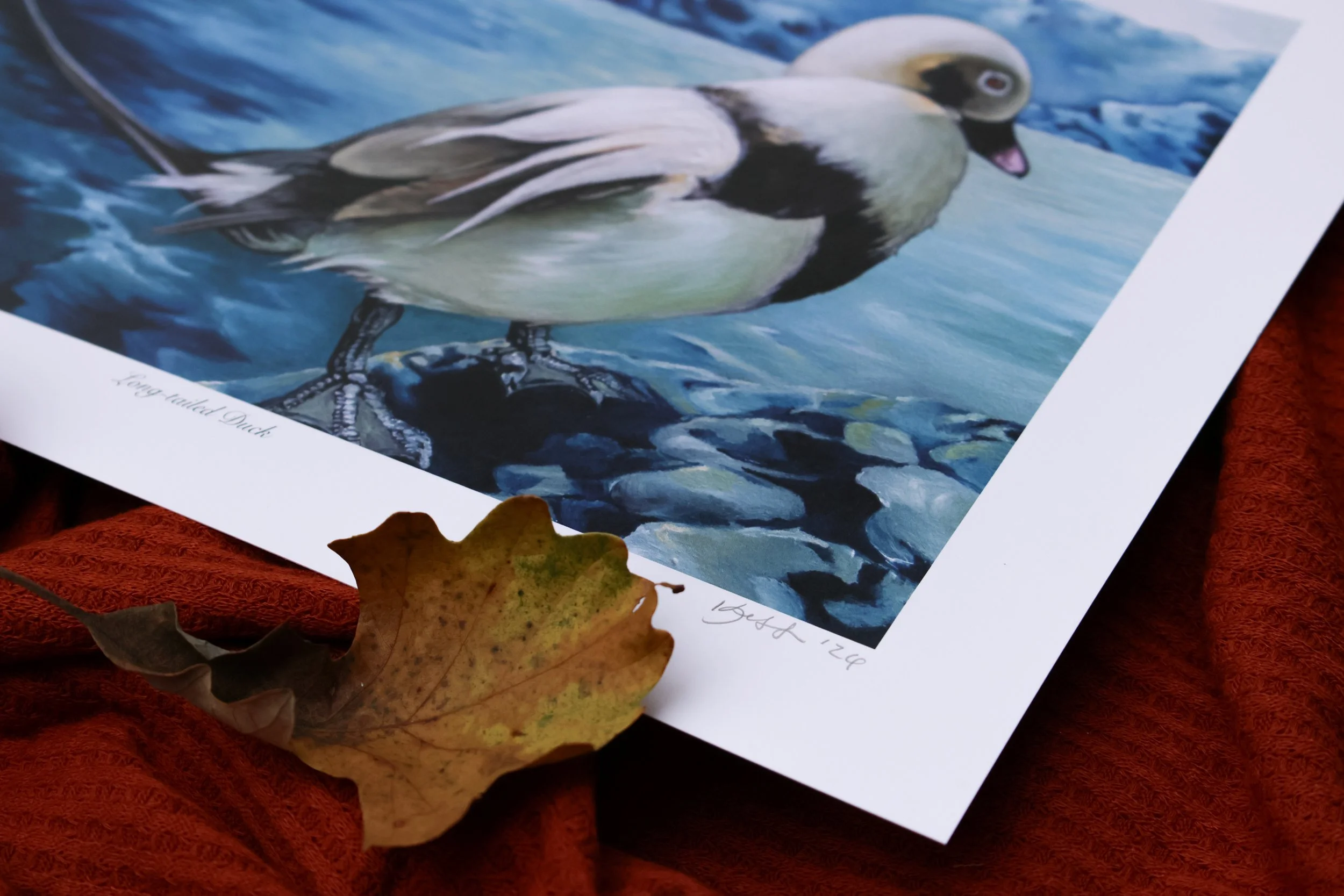 DuckPrints26 -41.JPG