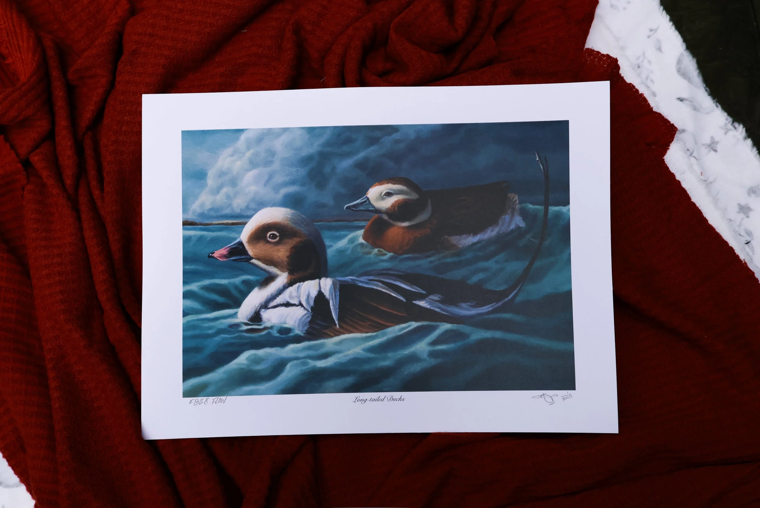 DuckPrints26 -61.JPG